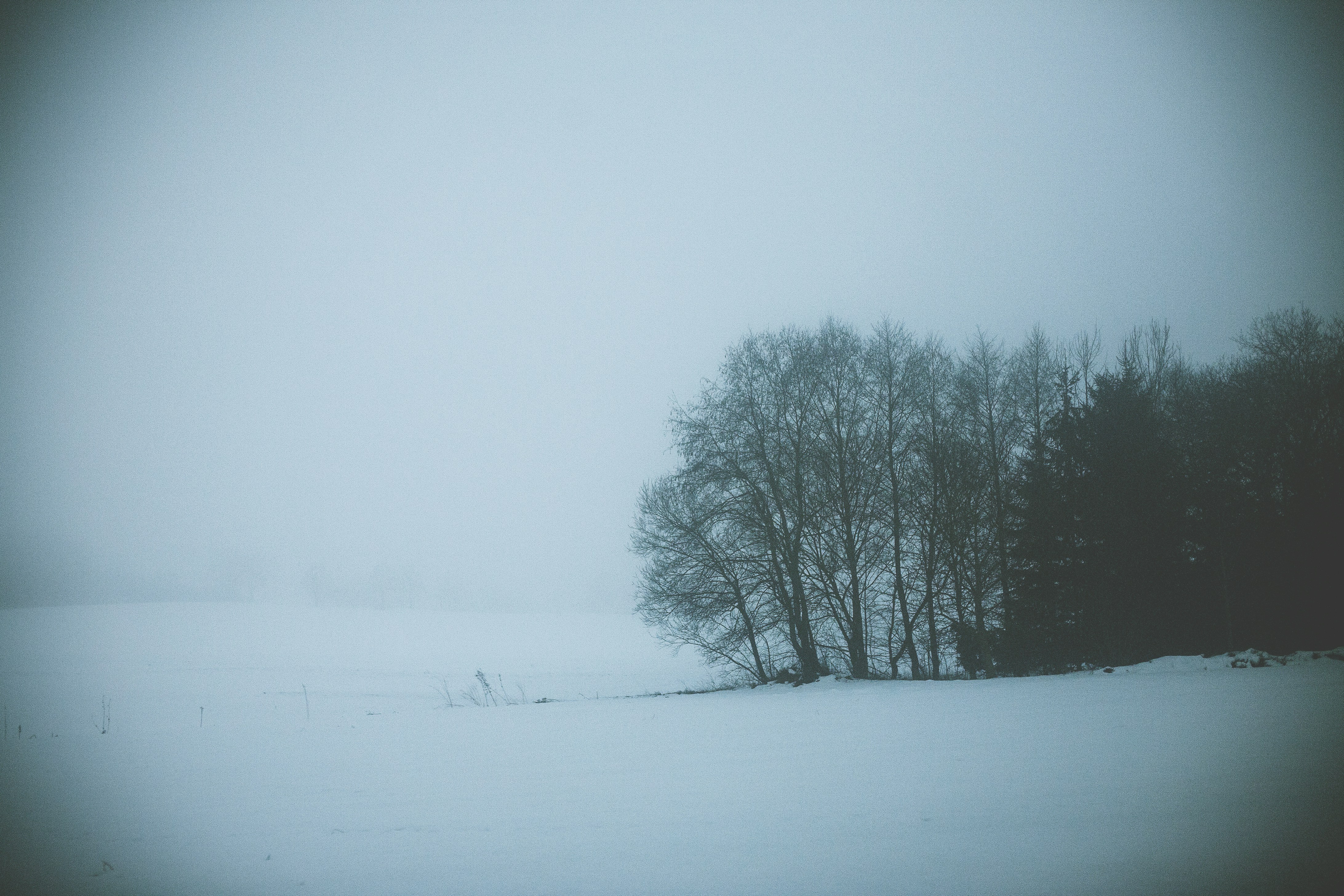 Атмосферные фото зимы в россии