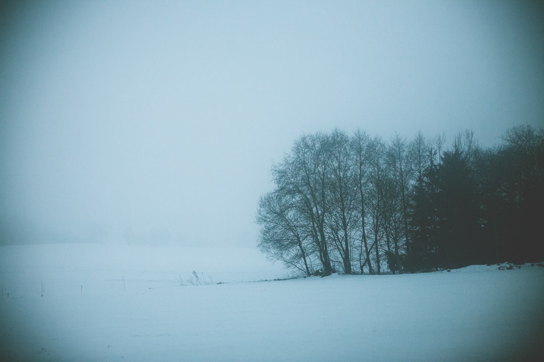 Атмосферные фото зимы в россии Атмосферные фото зимы в россии