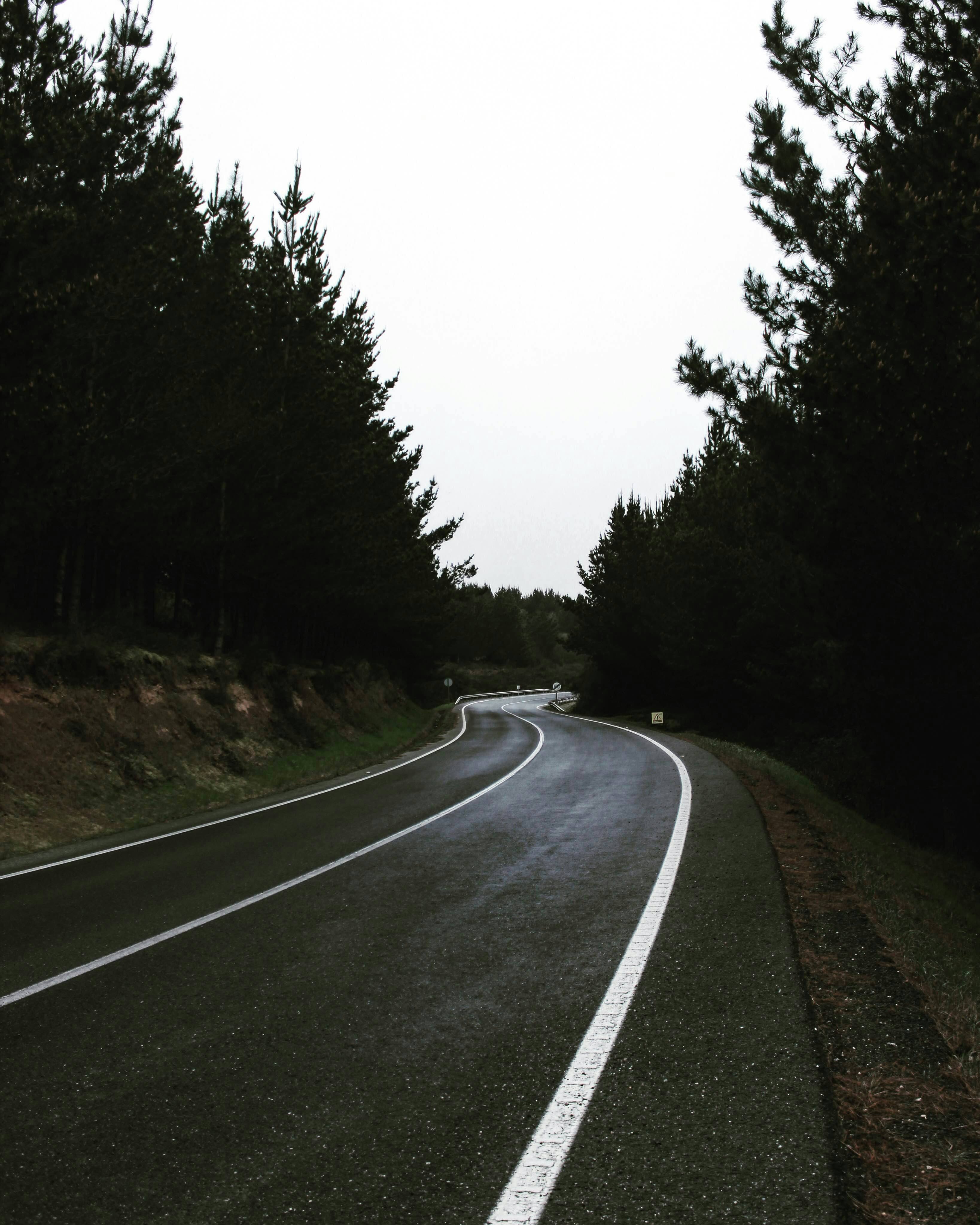 Free Images : sky, asphalt, light, natural landscape, tree, lane, road surface, 