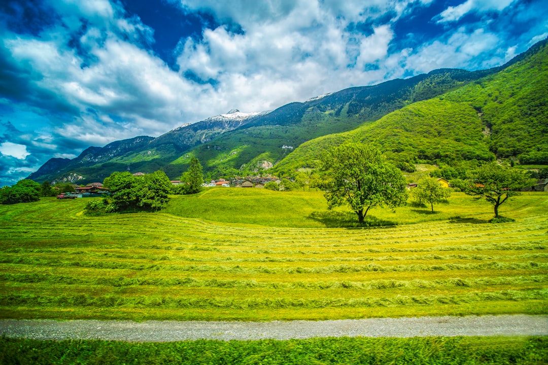 Landscape, green, valley and trees HD photo by Rezaul Karim (@reza565) on U...