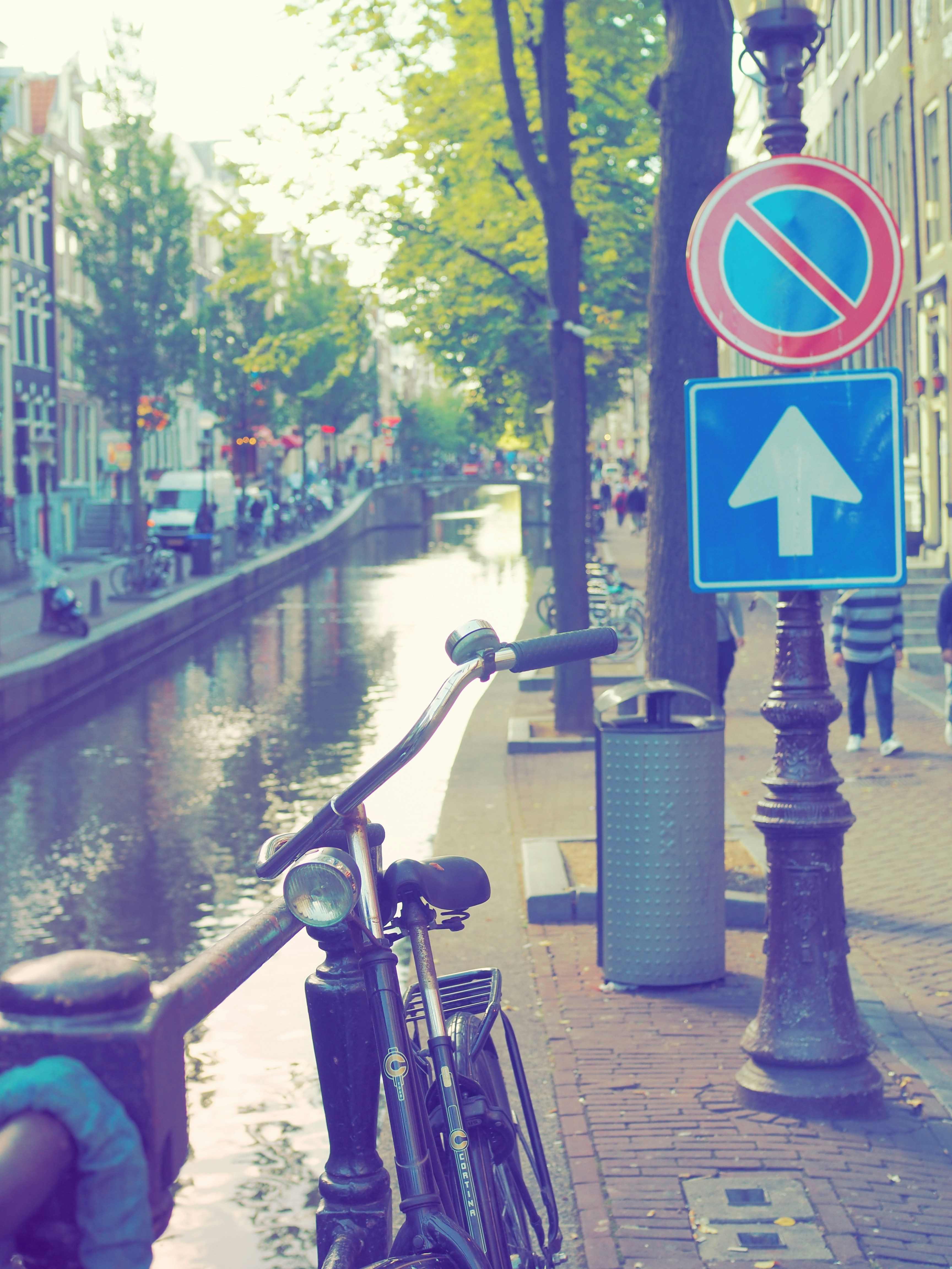 Амстердам дорожная ул 24 корп 2 фото Отзывы о "Слоник", Воронеж, Дорожная улица, 24, корп. 3 Яндекс Карты