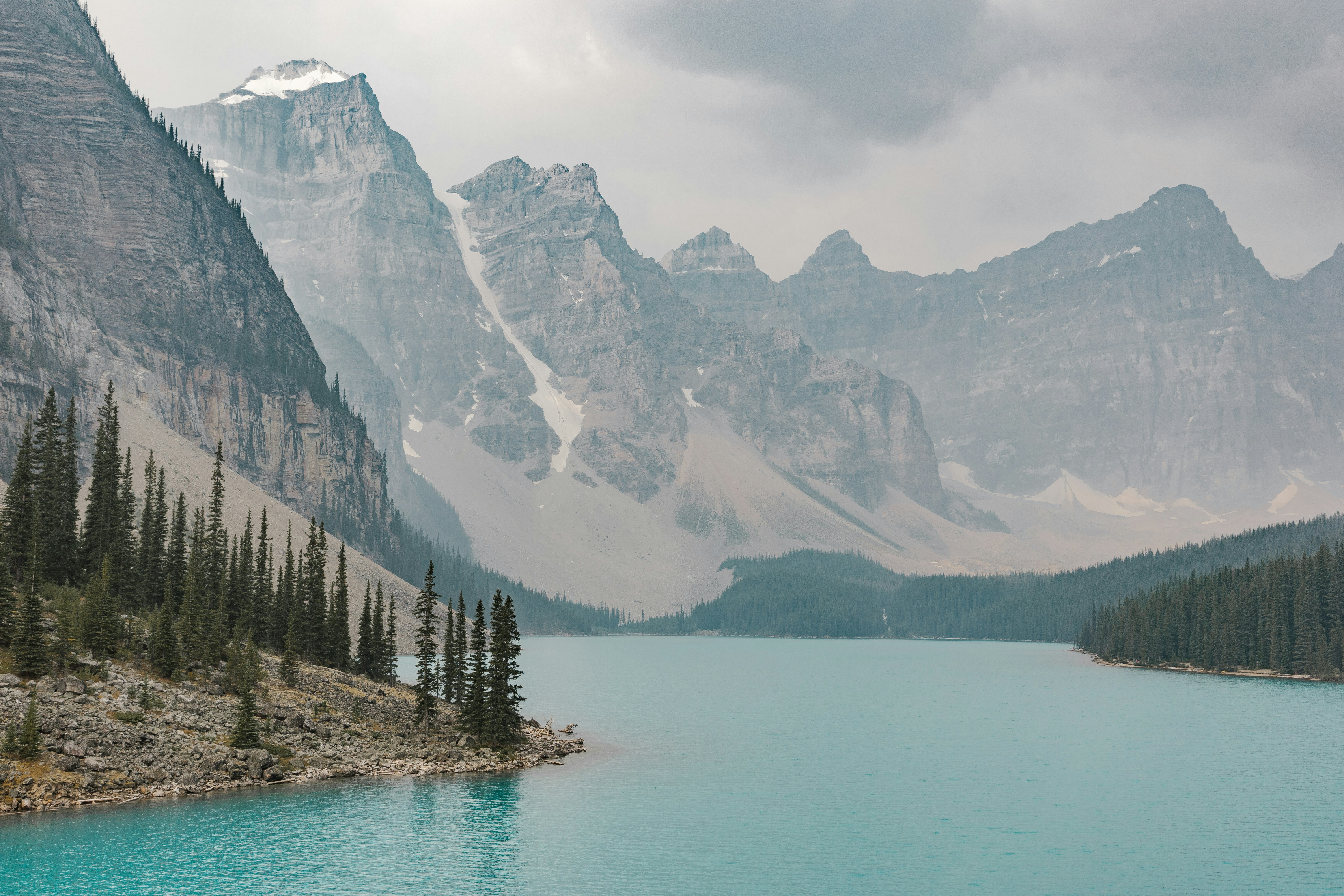 download Профилактор