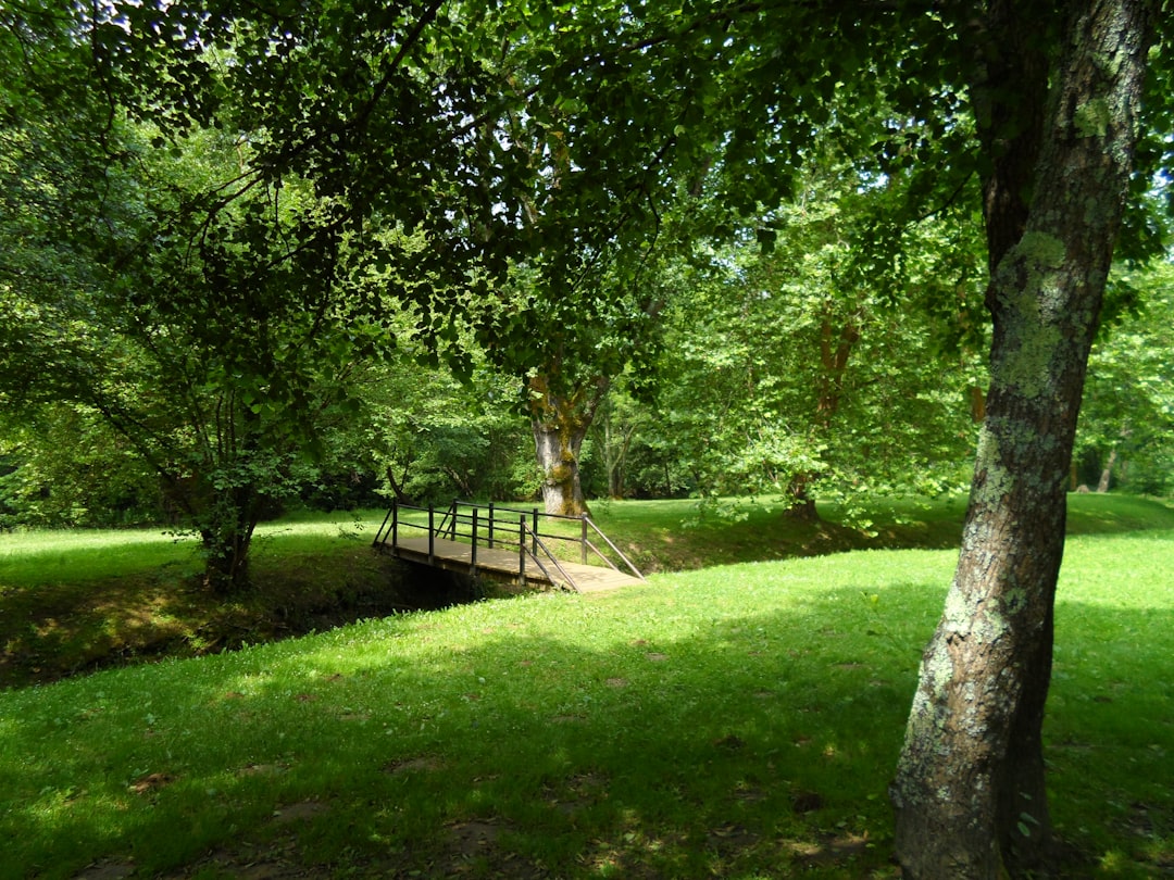 Лесной зеленый пер 15 фото Лесной зеленый пер 15 фото