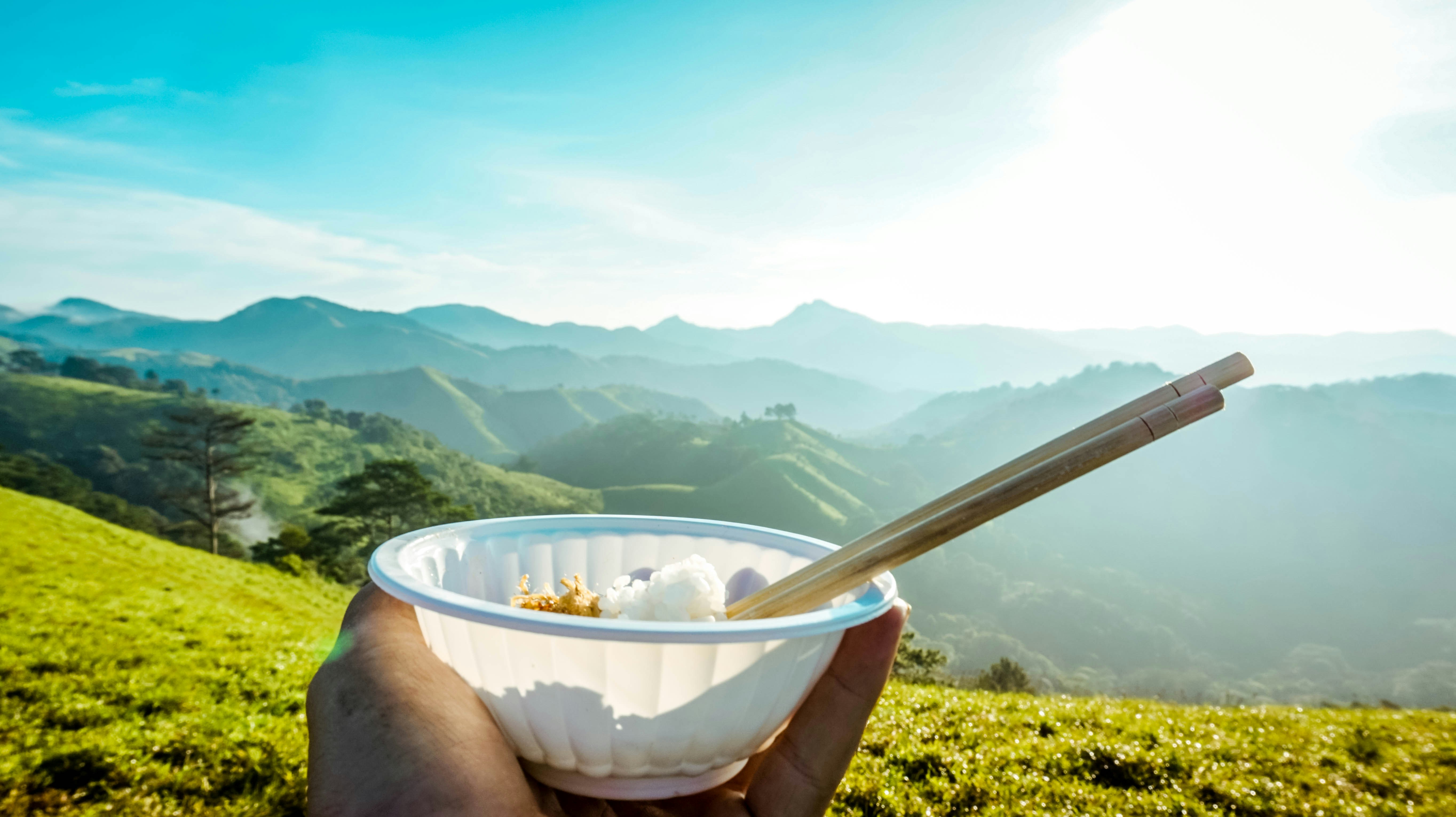 Person Holding Bowl Of Rice With Chopsticks Photo Free Ta Năng Image On Unsplash