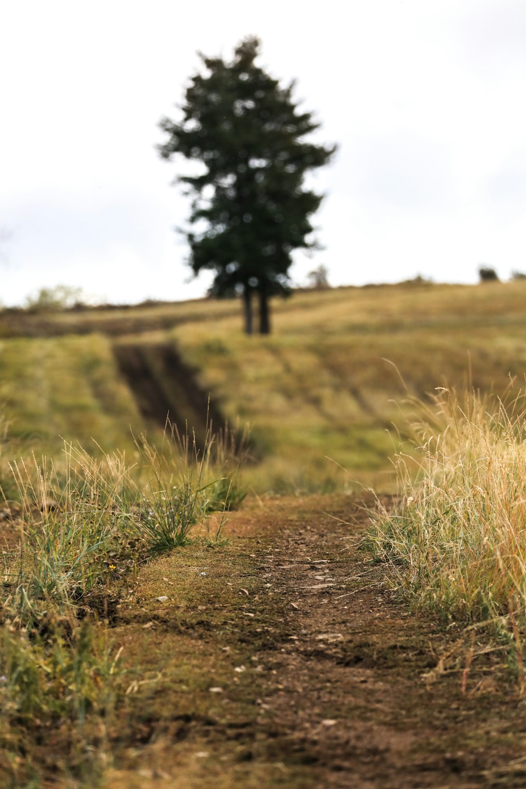 20  Best Free Ground Pictures Stock Photos on Unsplash 20  Best Free Ground Pictures Stock Photos on Unsplash