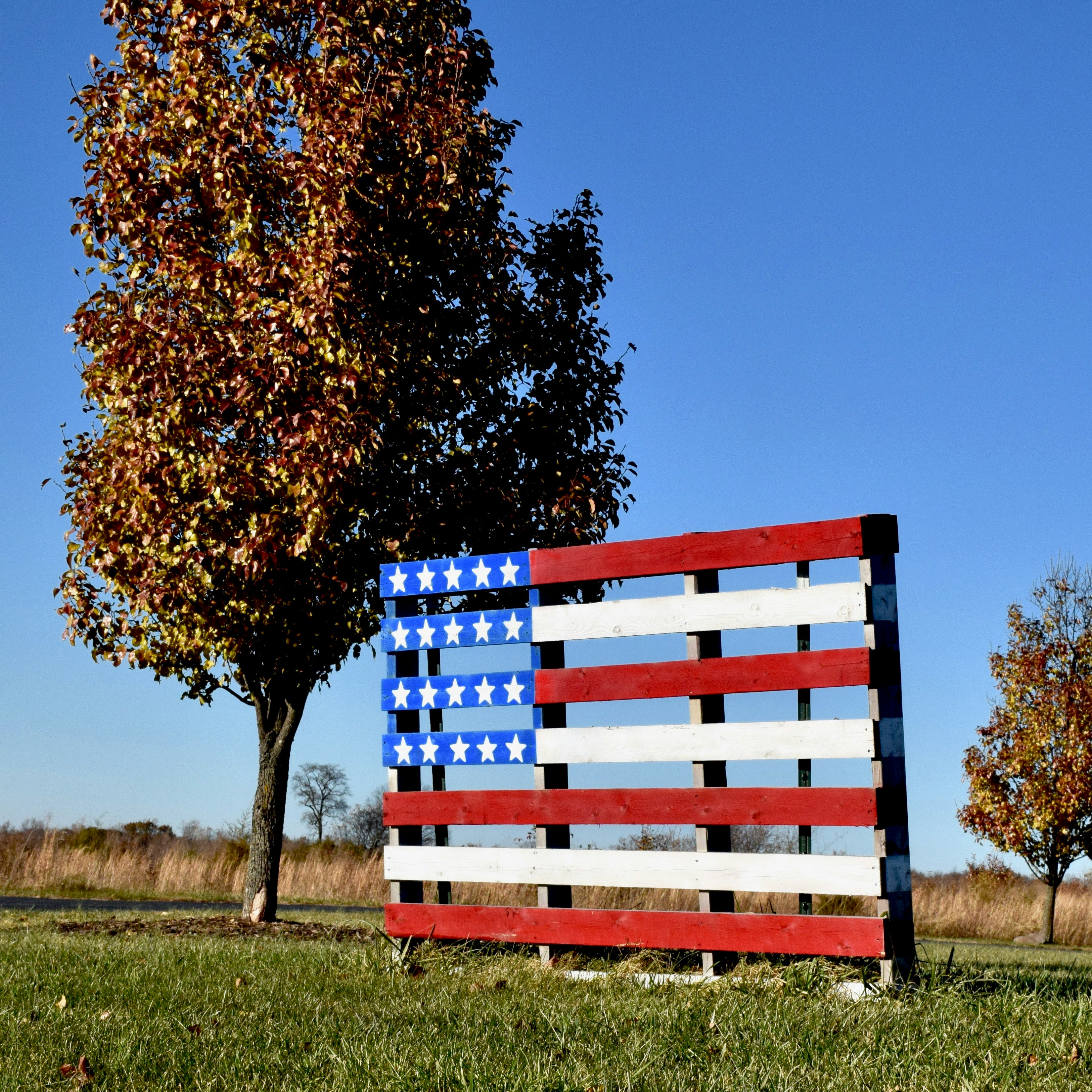 Norfolk Island - Latest news Seldon News