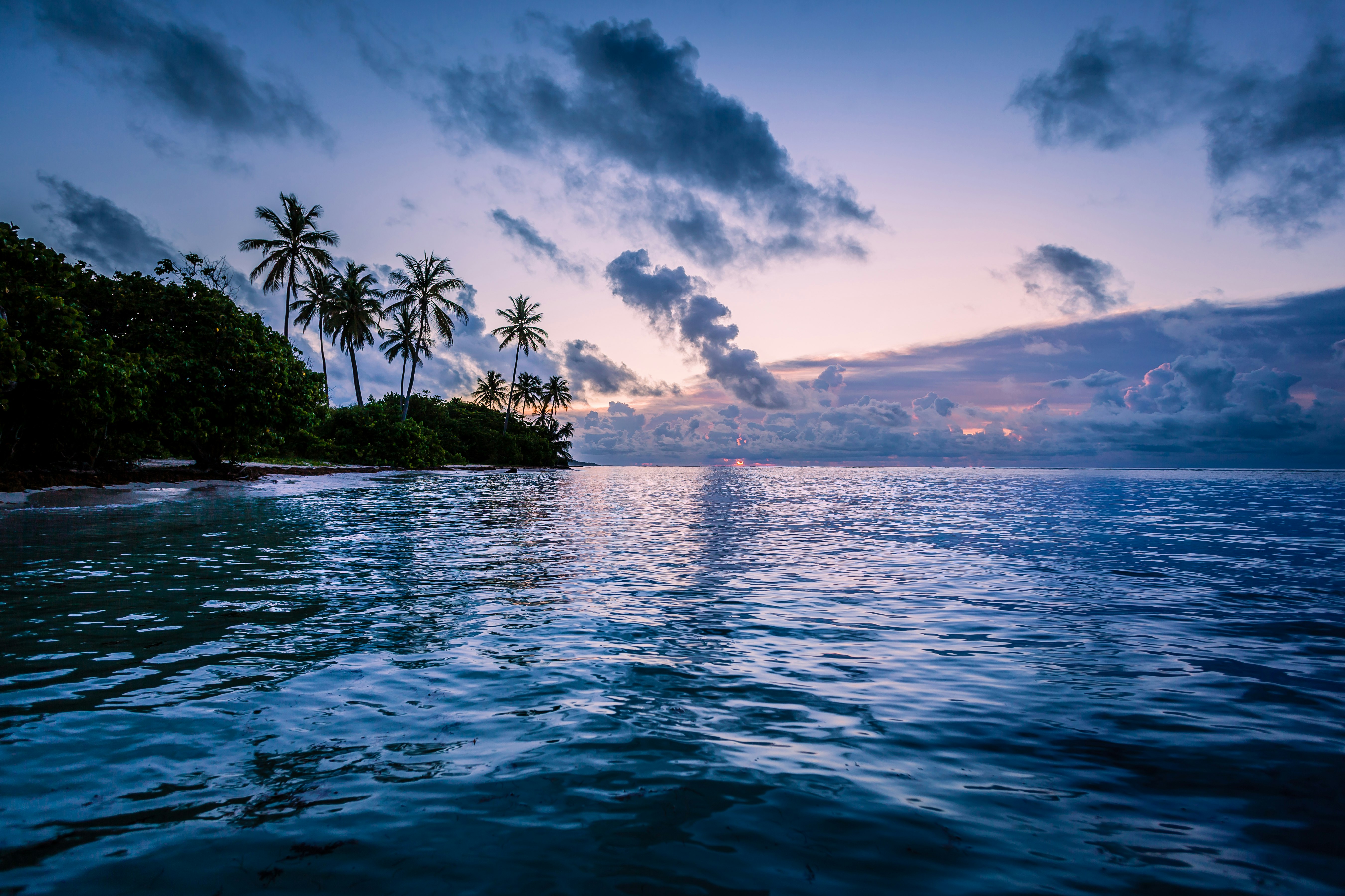 unsplash wallpapers mac dmg