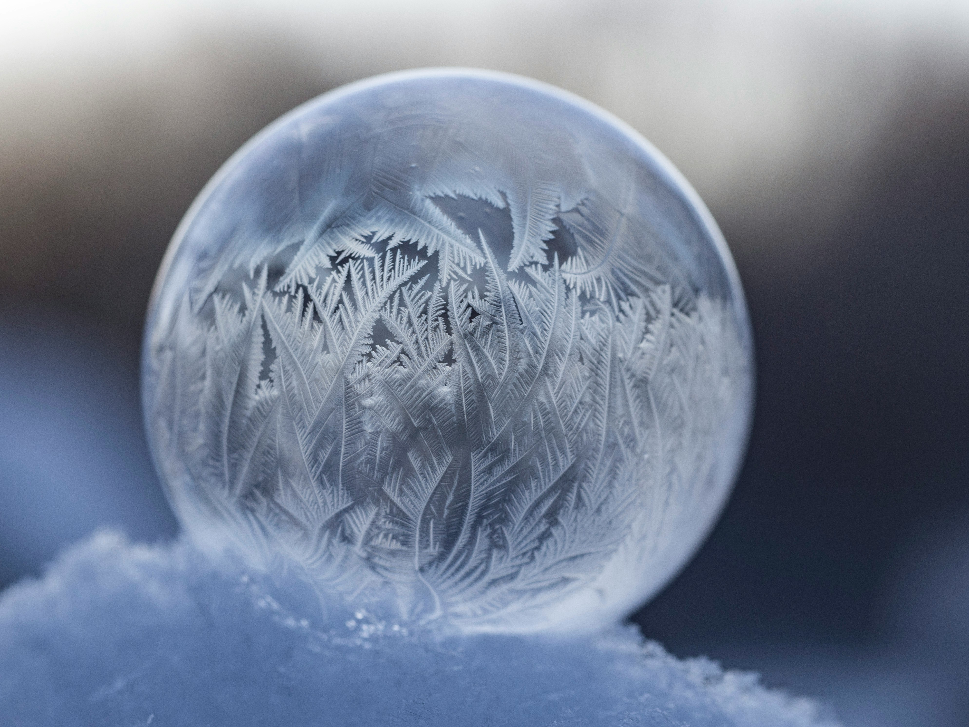 frozen bubble photography