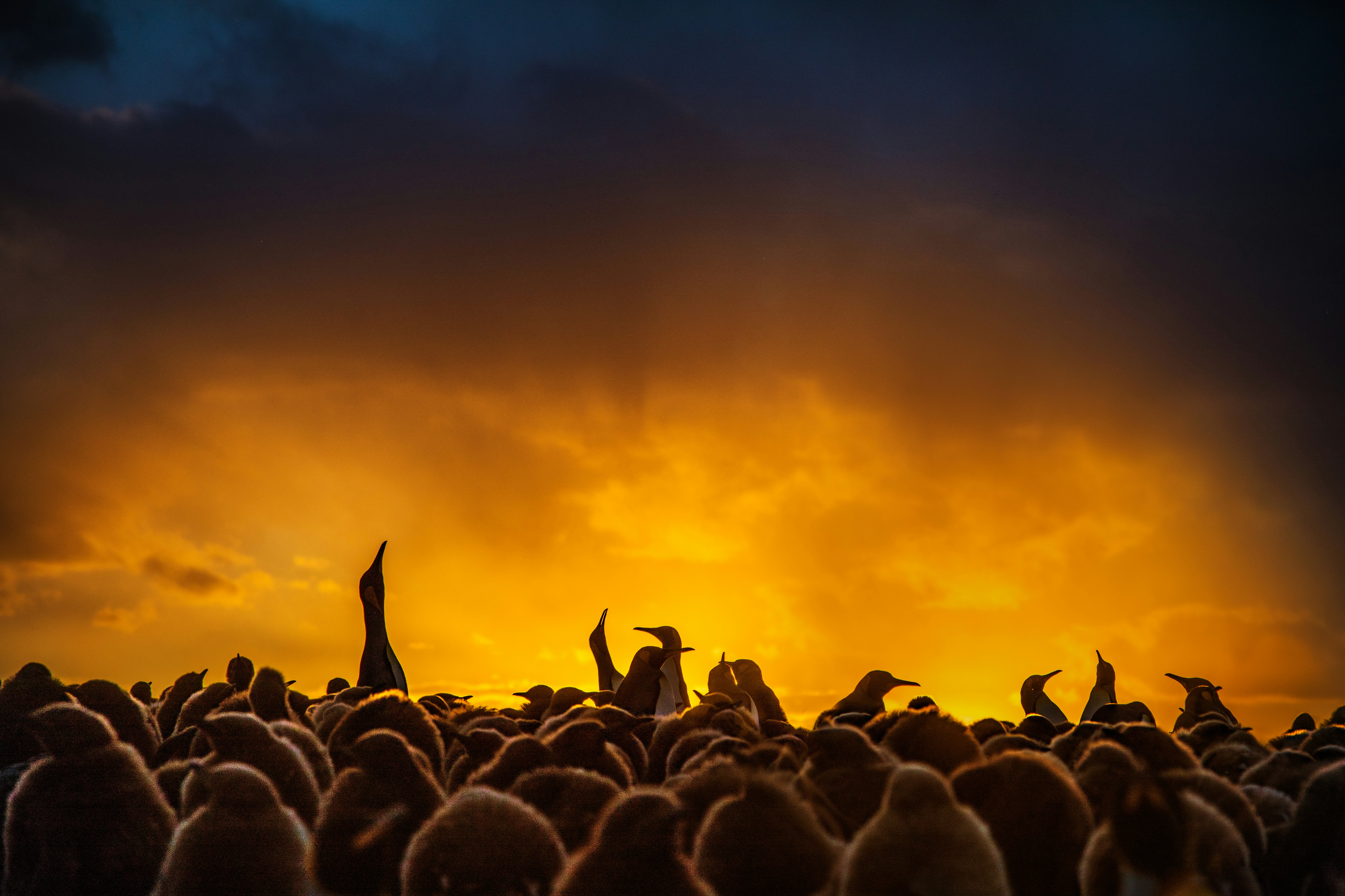 unsplash wallpapers windows