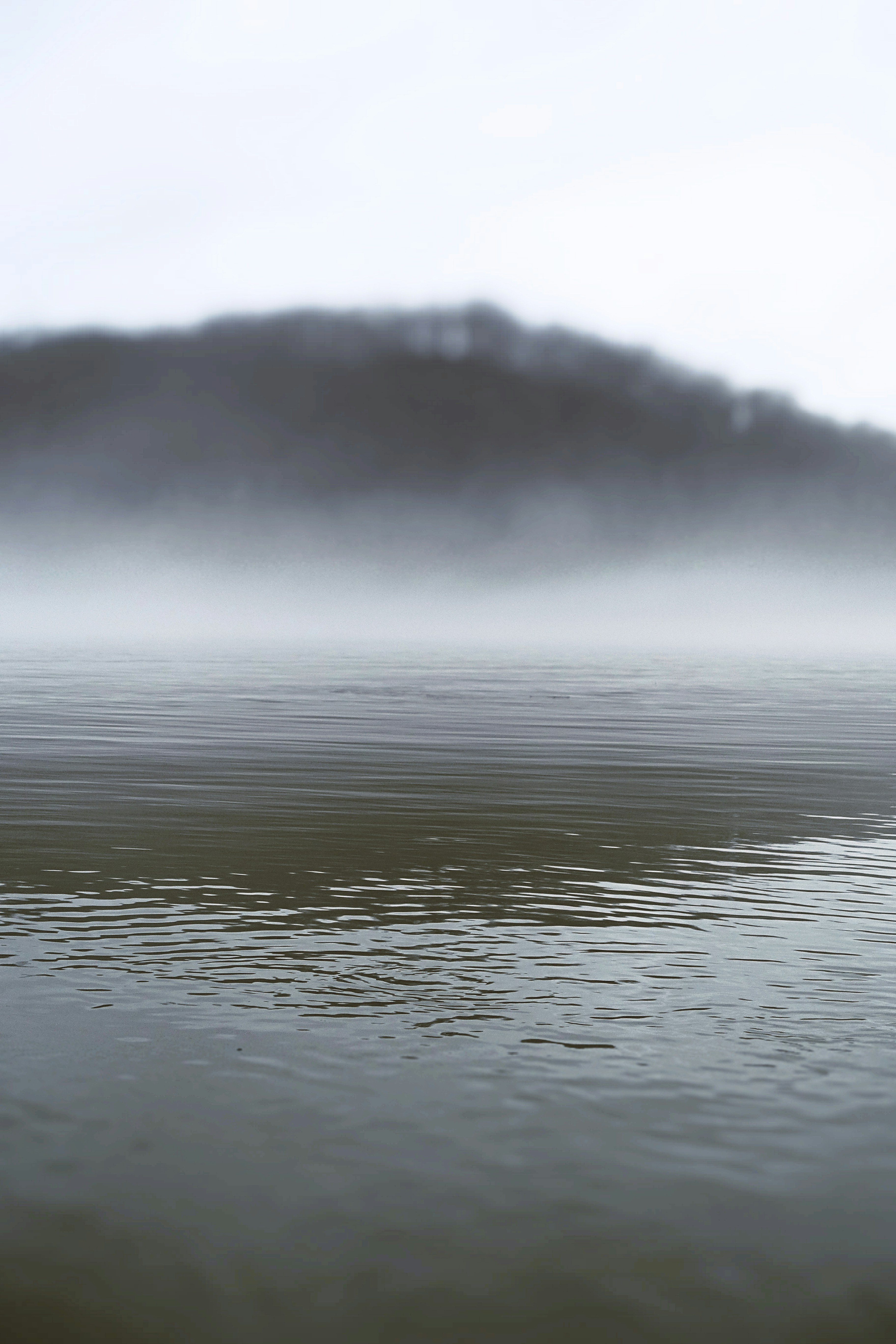 Fog Lake Pictures Download Free Images on Unsplash