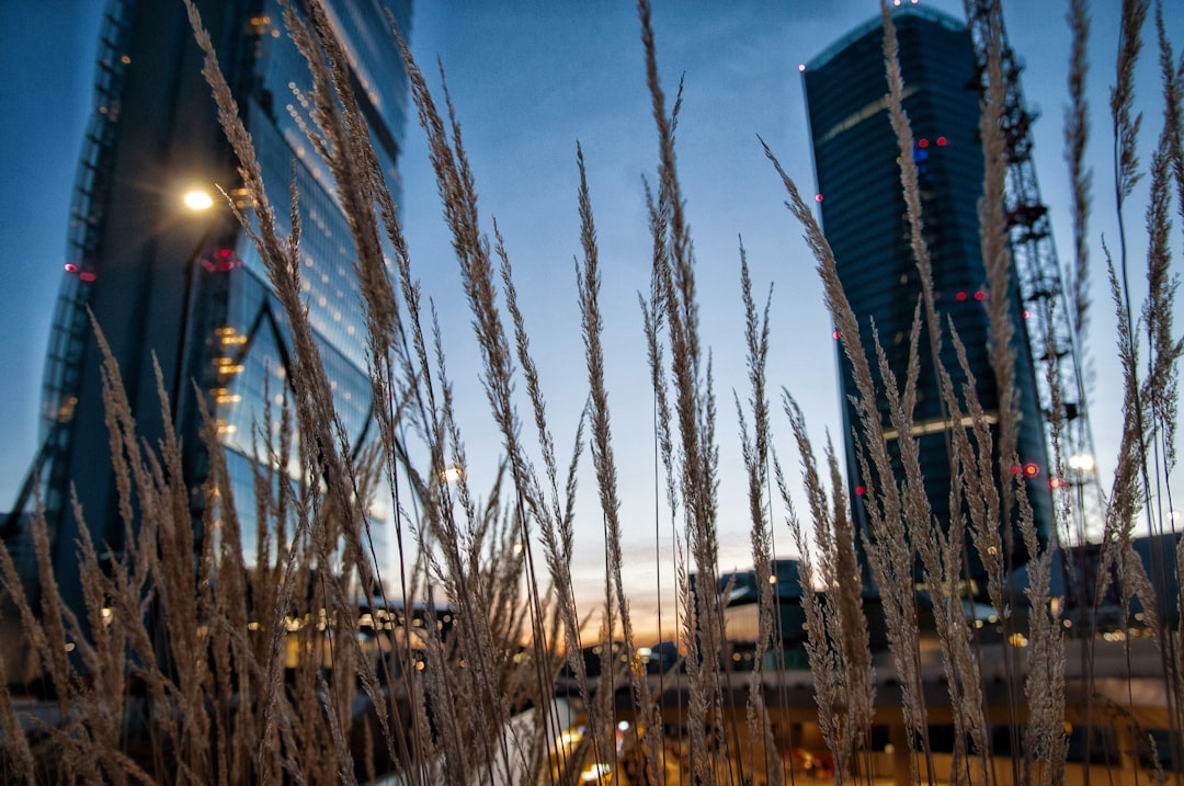 andrea reggiani regius77 unsplash photo community