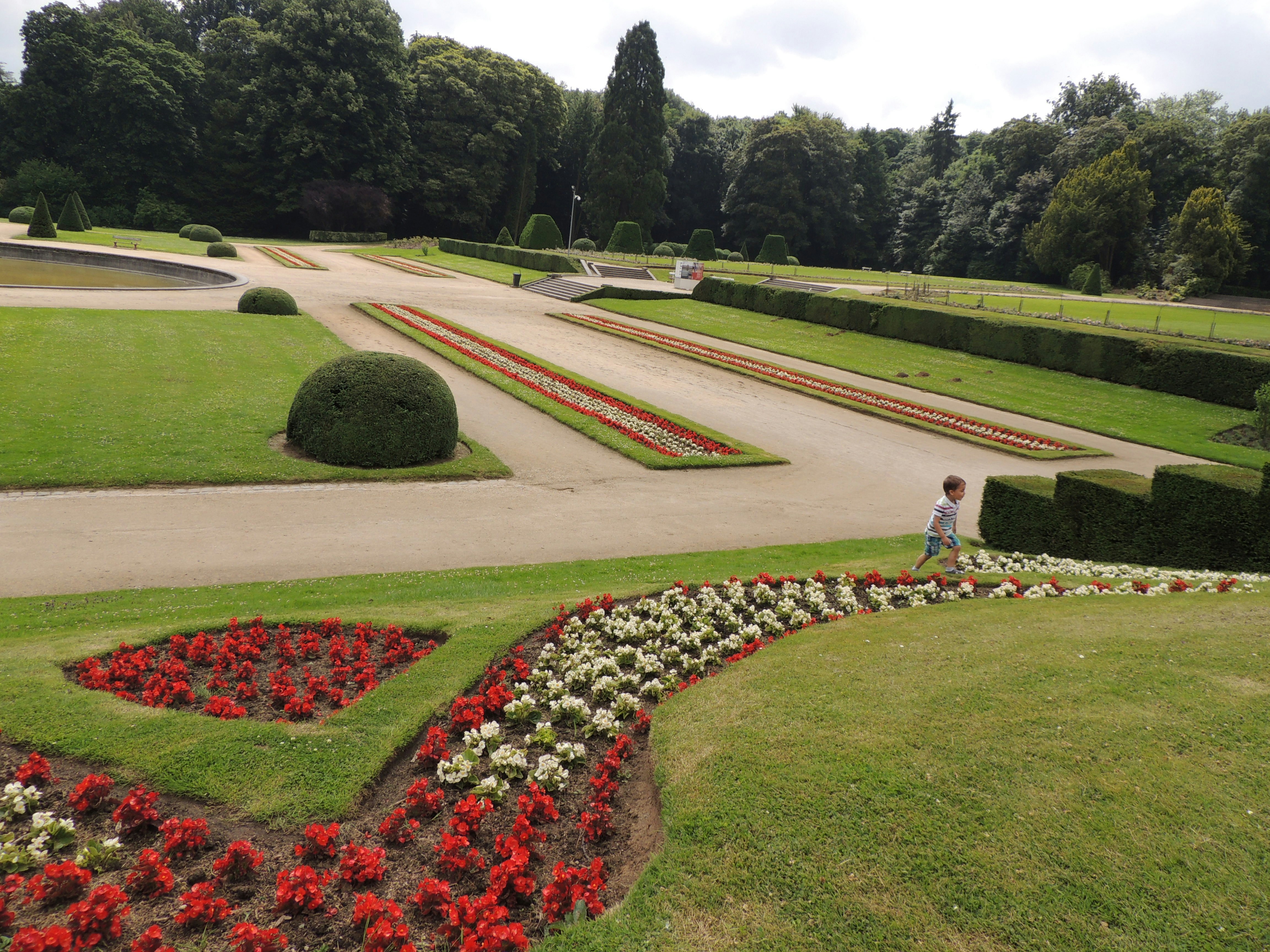 Матилла в саду фото The New Generation Of Verbenas Purple flowers garden, Southern living plants, Pu