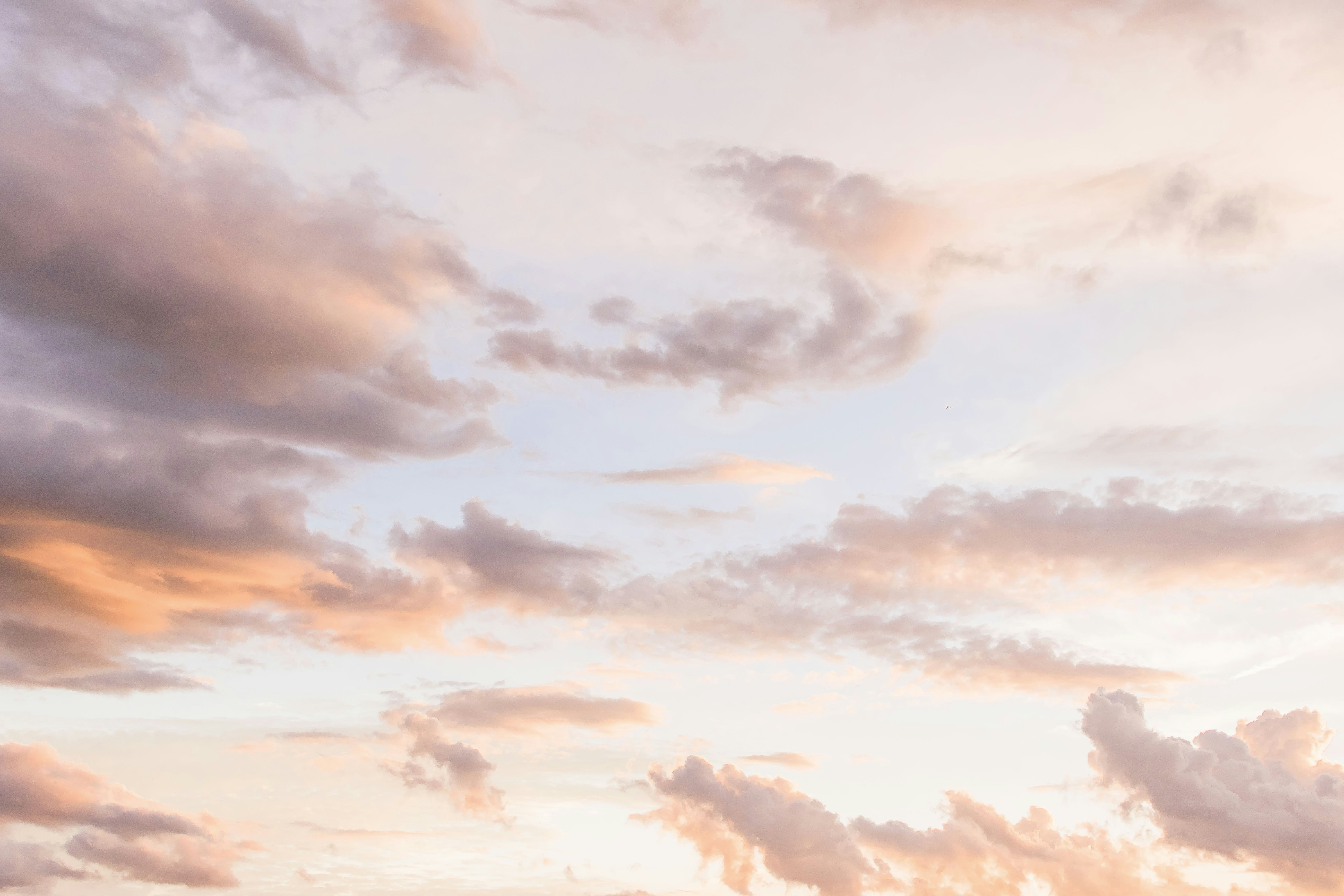 cute pastel backgrounds