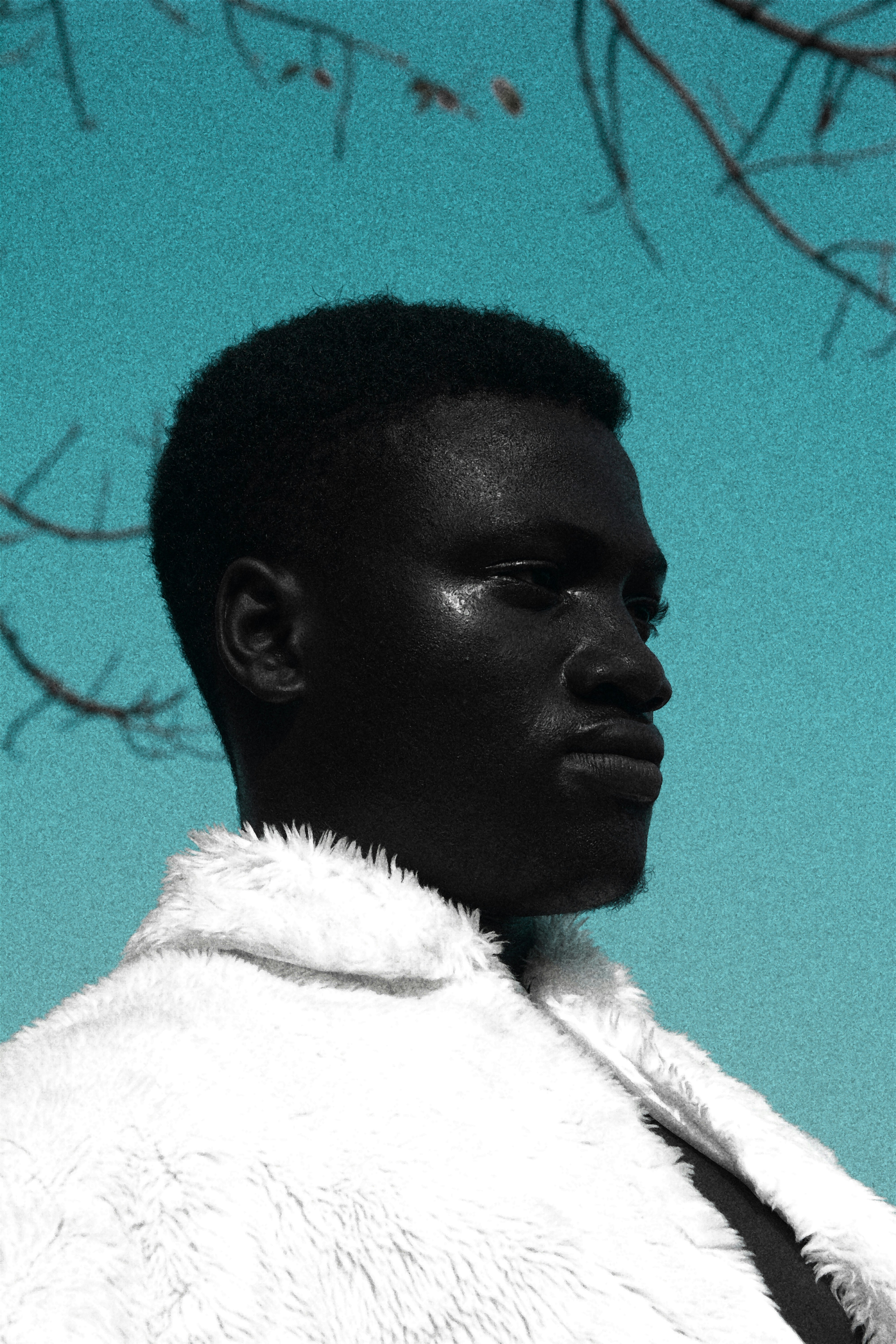 African American Men 54 Best Free Man Portrait Person And