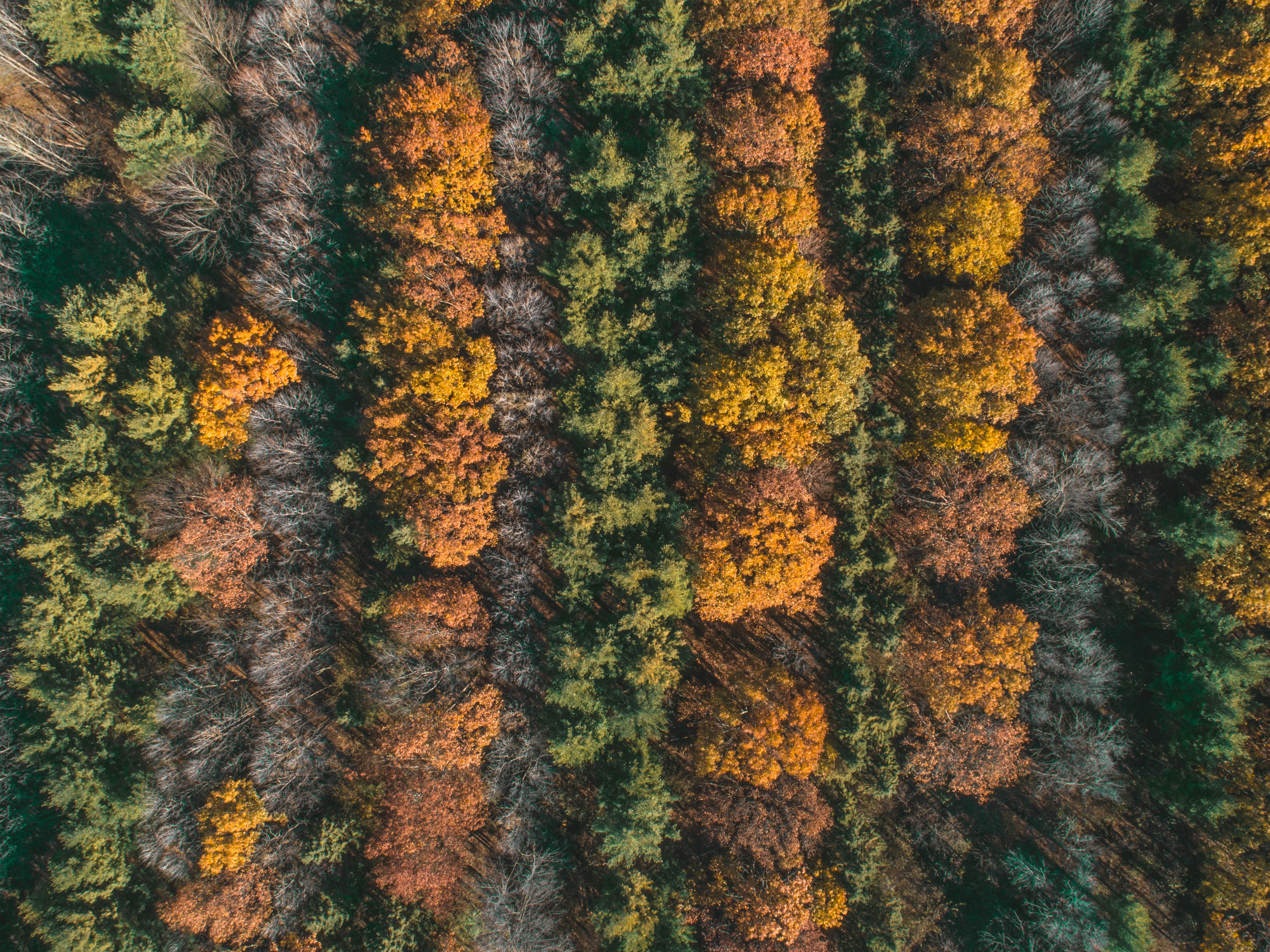 unsplash wallpapers windows