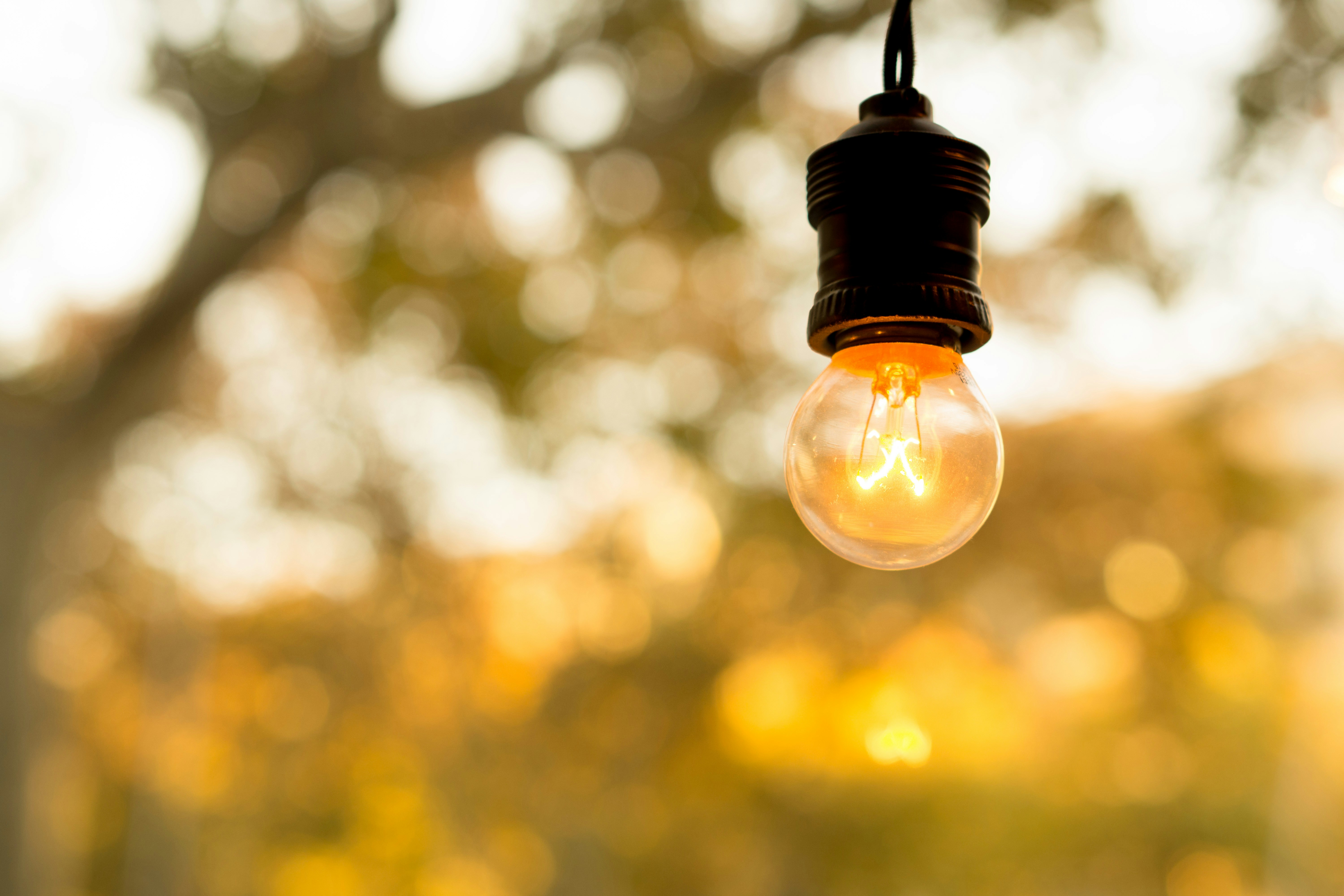 turnedon light bulb photo Free Lamp Image on Unsplash