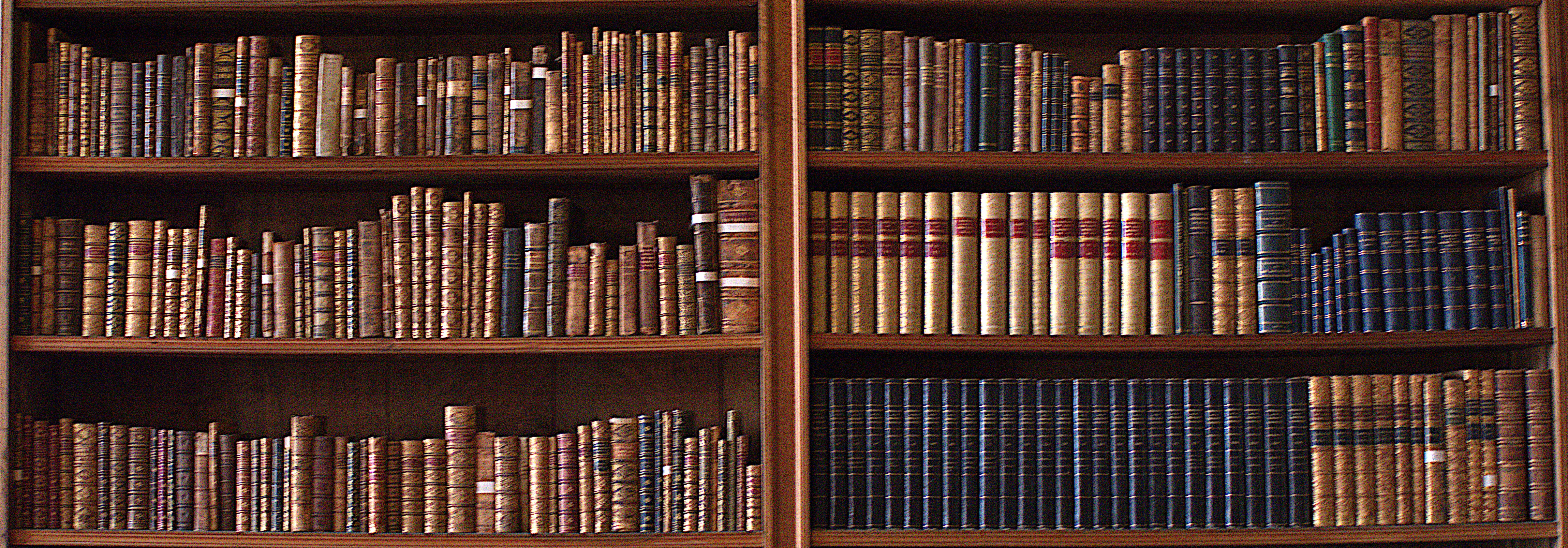 Полка с книгами фото Встреча клуба "В процессе чтения" в Центральной городской молодежной библиотеке