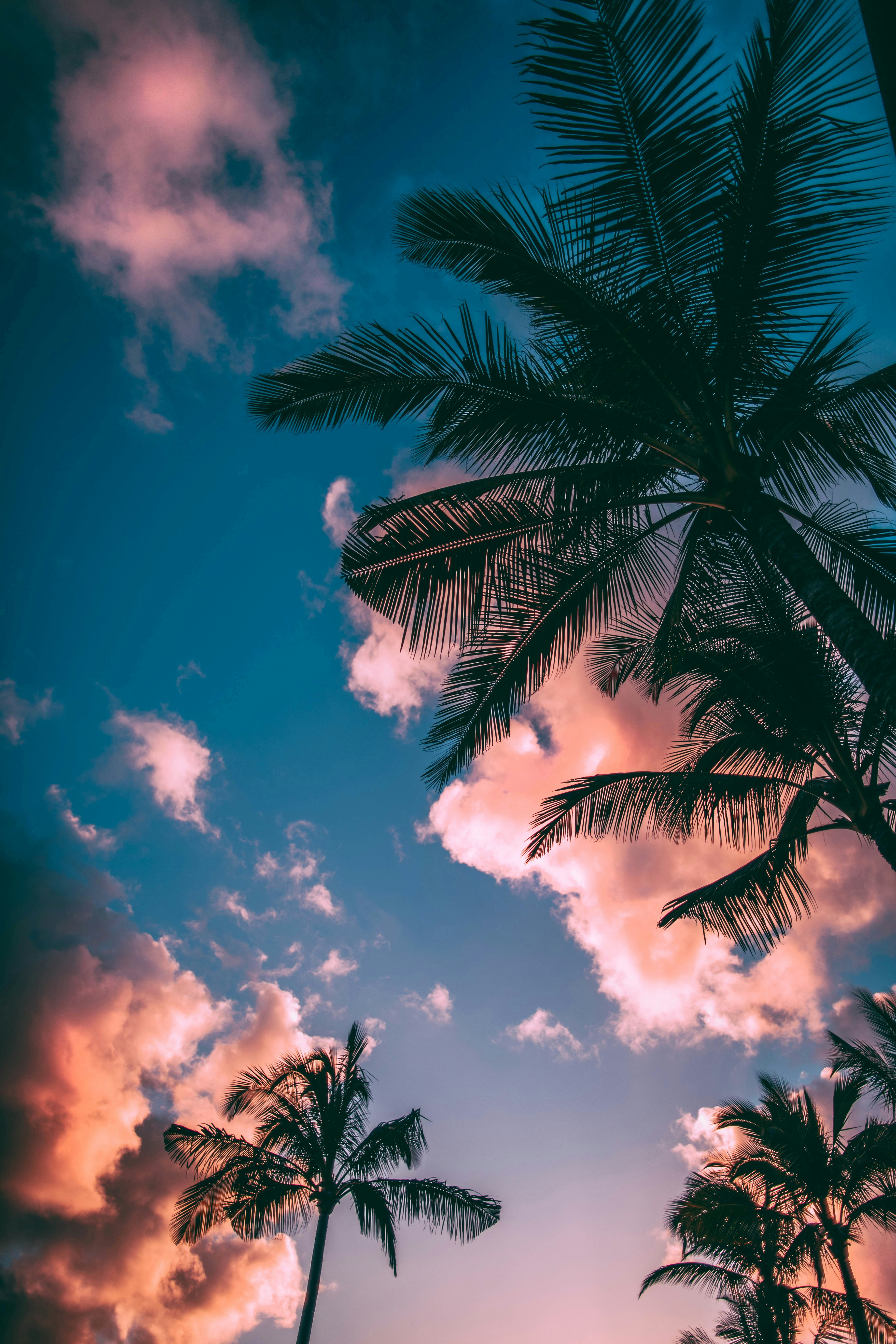 unsplash wallpapers