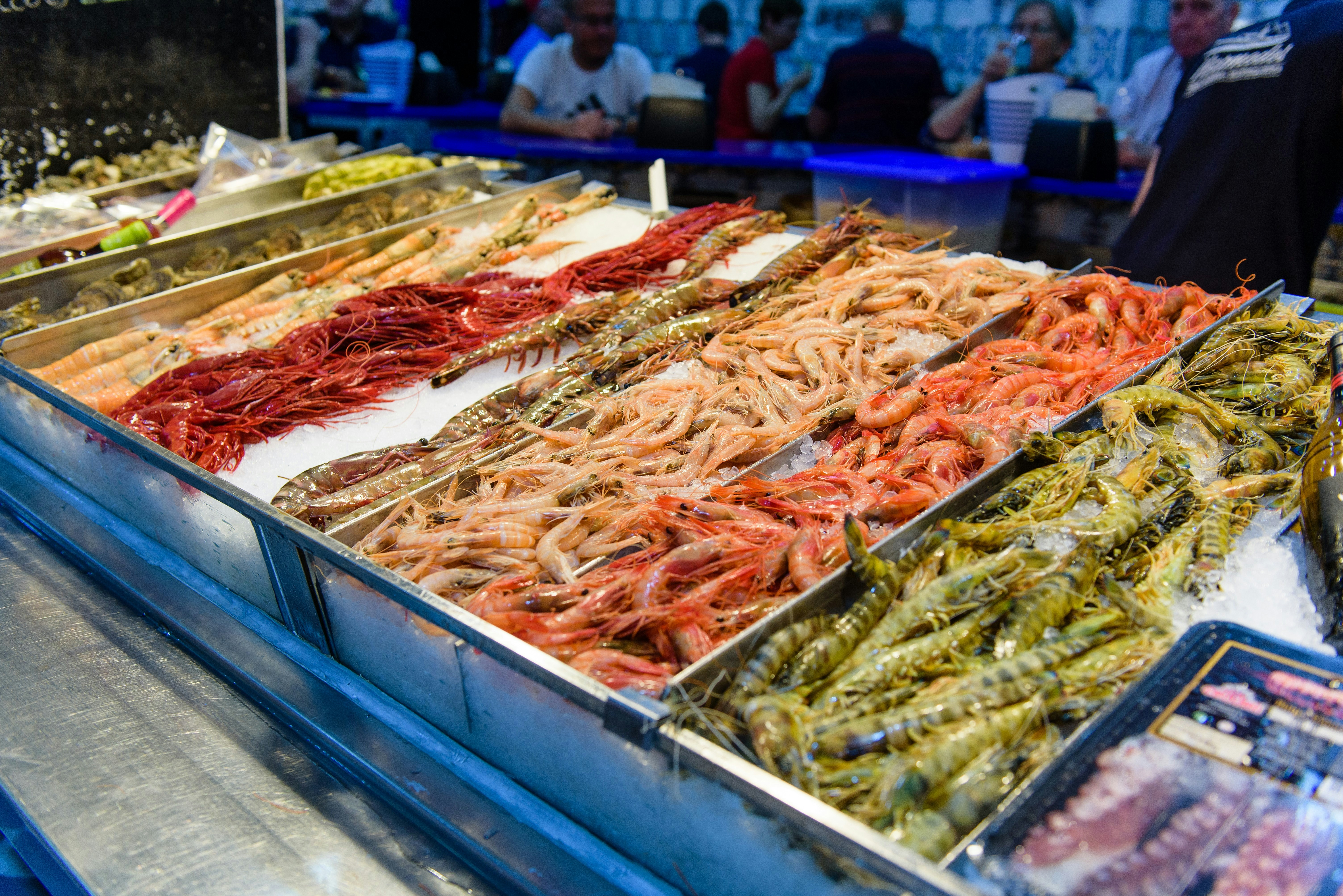 Seafood Market Pictures Download Free Images on Unsplash