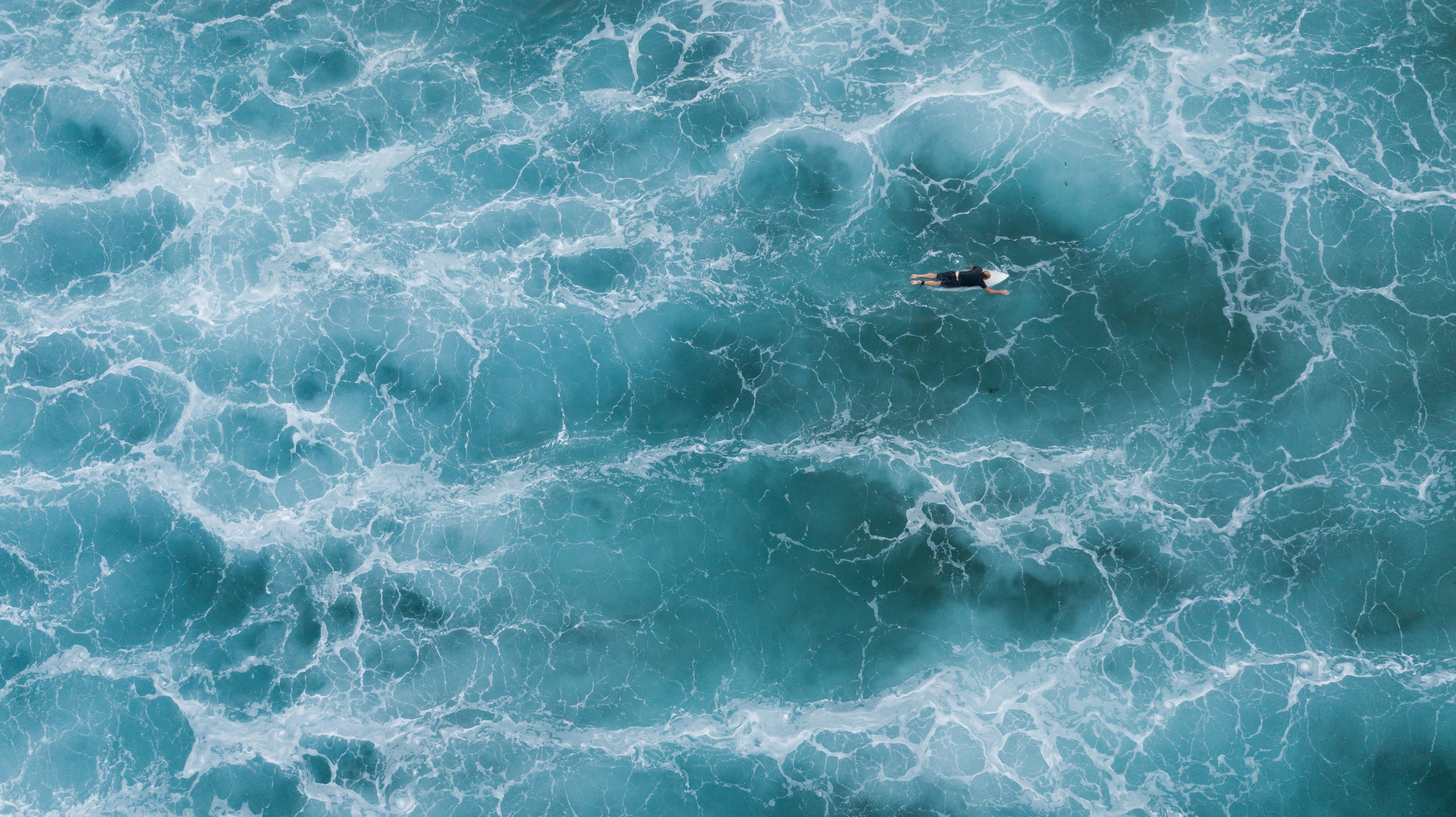 Photo by Yuriy MLCN on Unsplash