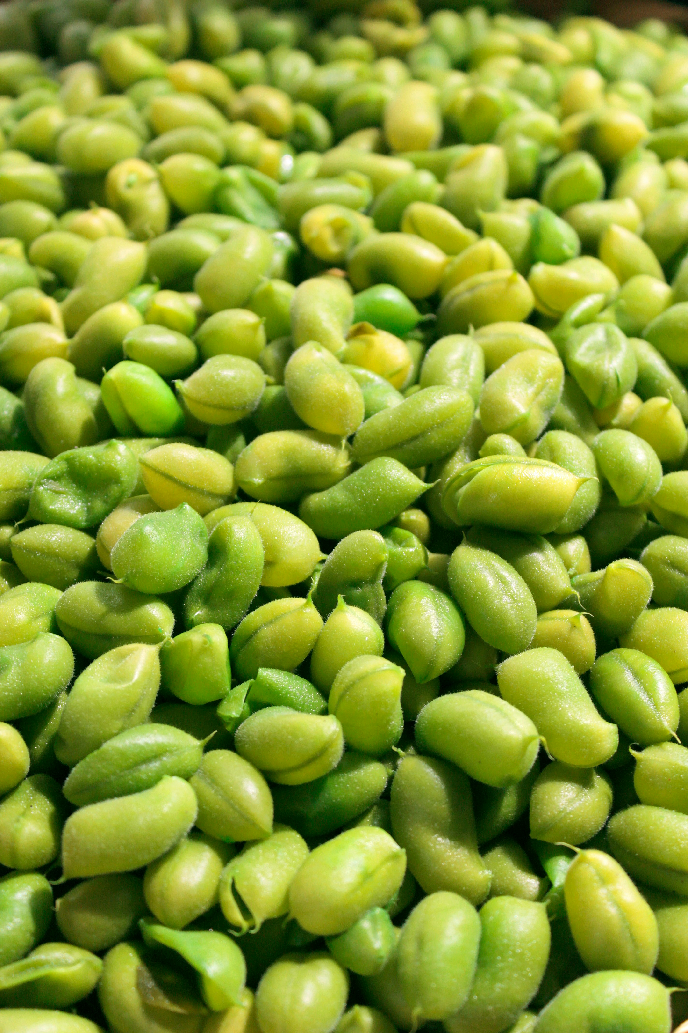 edamame sunshine islands
