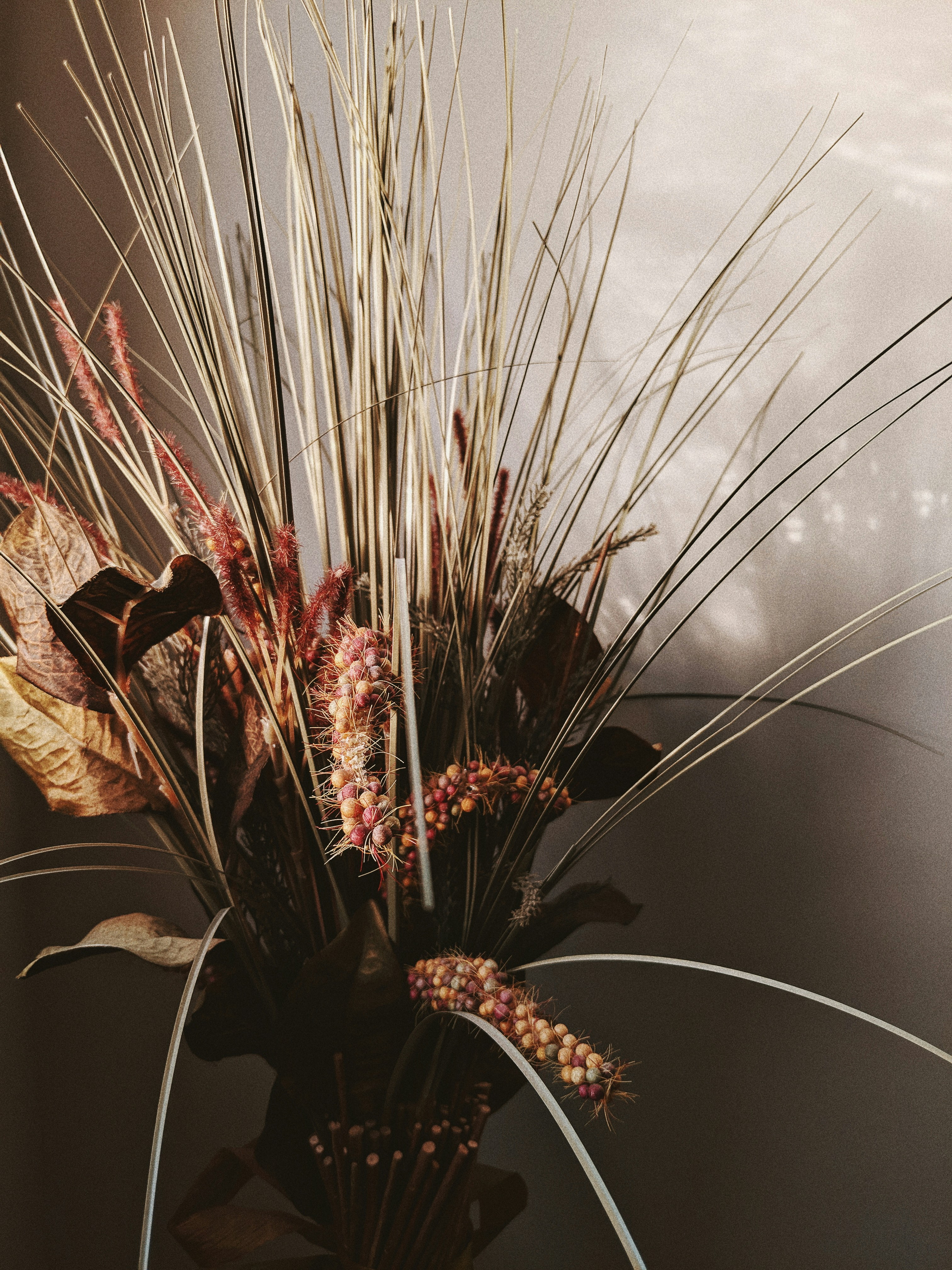 Achilles Pictures | Download Free Images on Unsplash