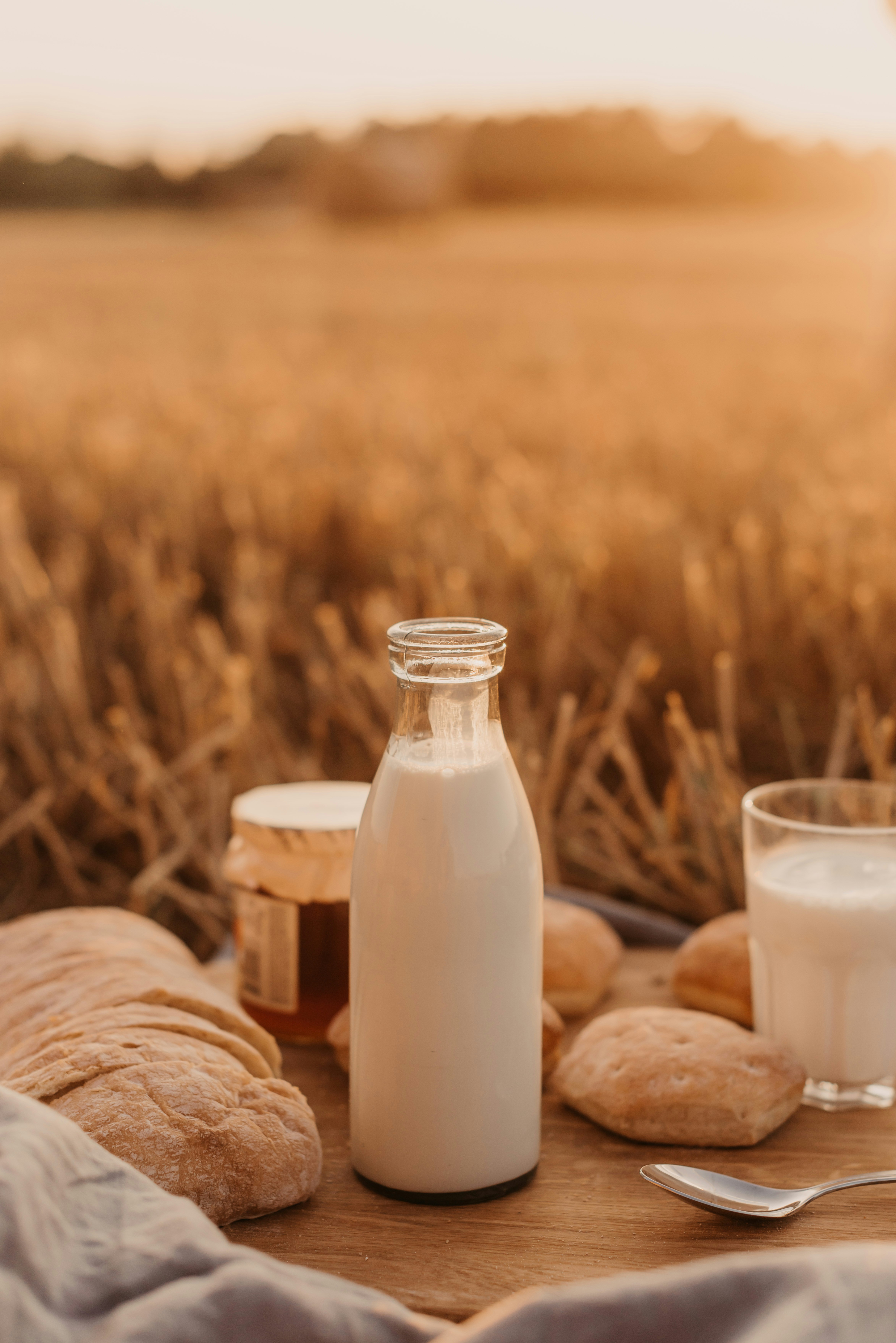 350+ Milk Pictures | Download Free Images on Unsplash