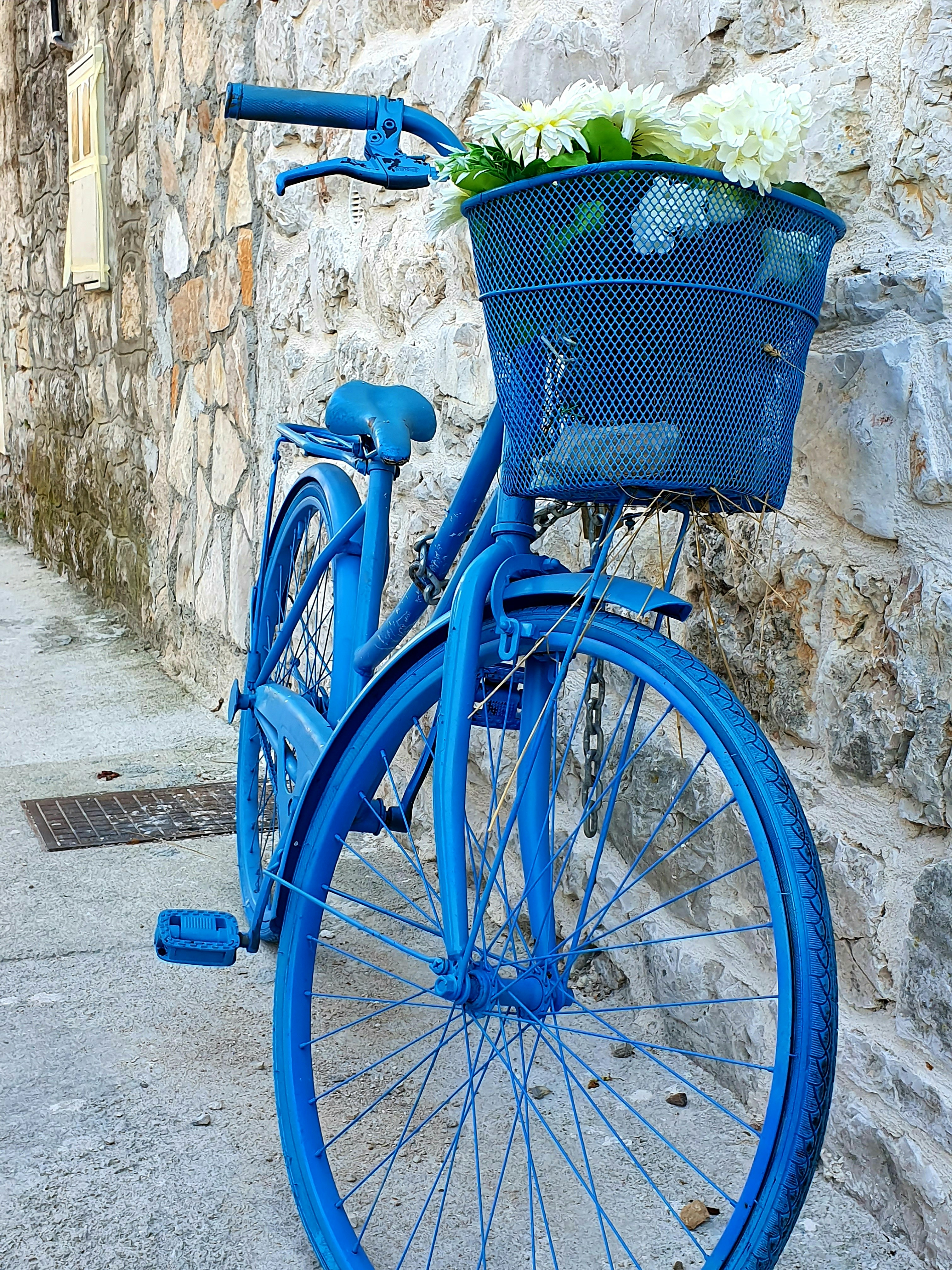 blue basket bike