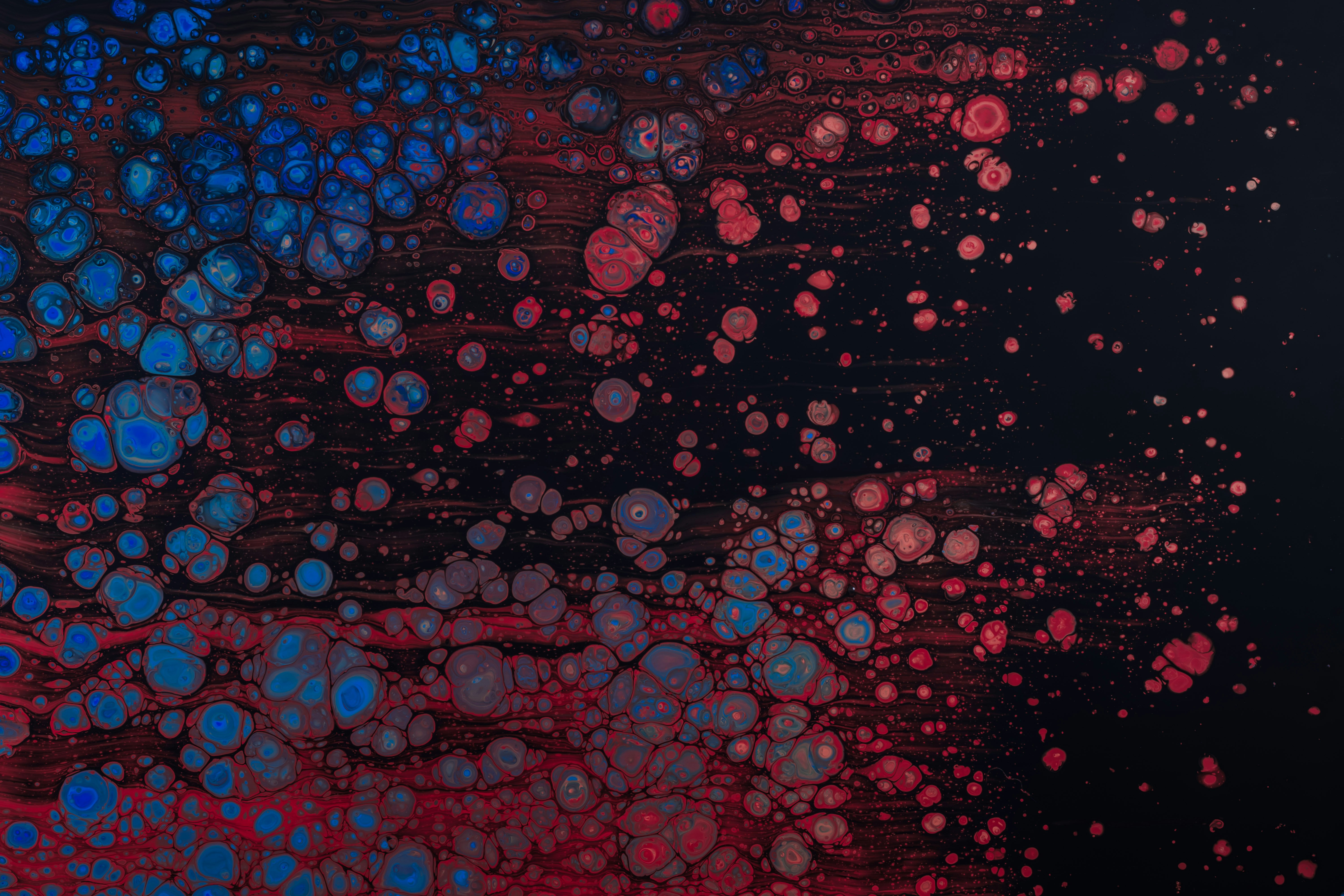 red, black, and blue abstract painting photo Free Art Image on Unsplash
