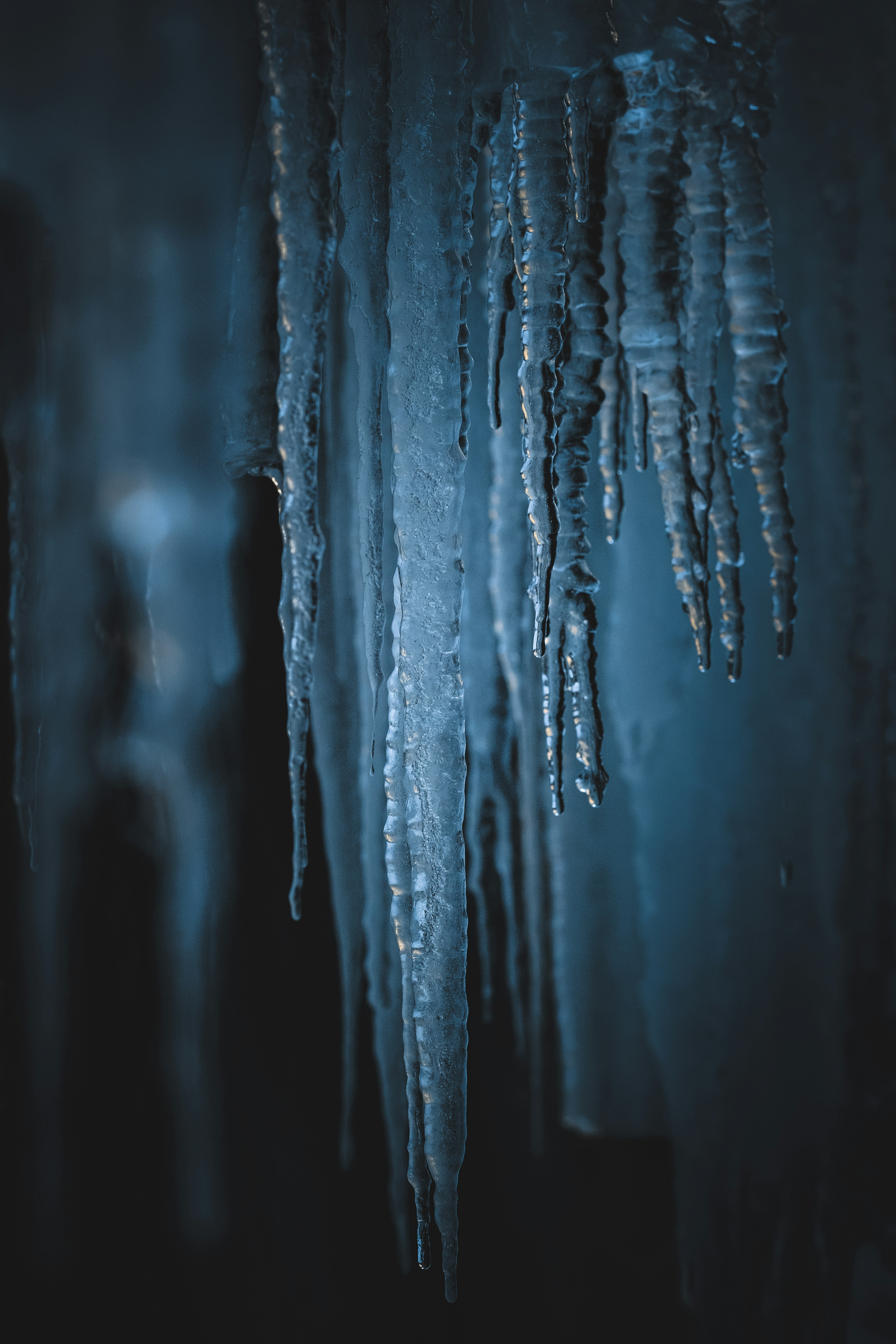 iPhone XS Max Wallpapers: Free HD Download [500+ HQ] | Unsplash