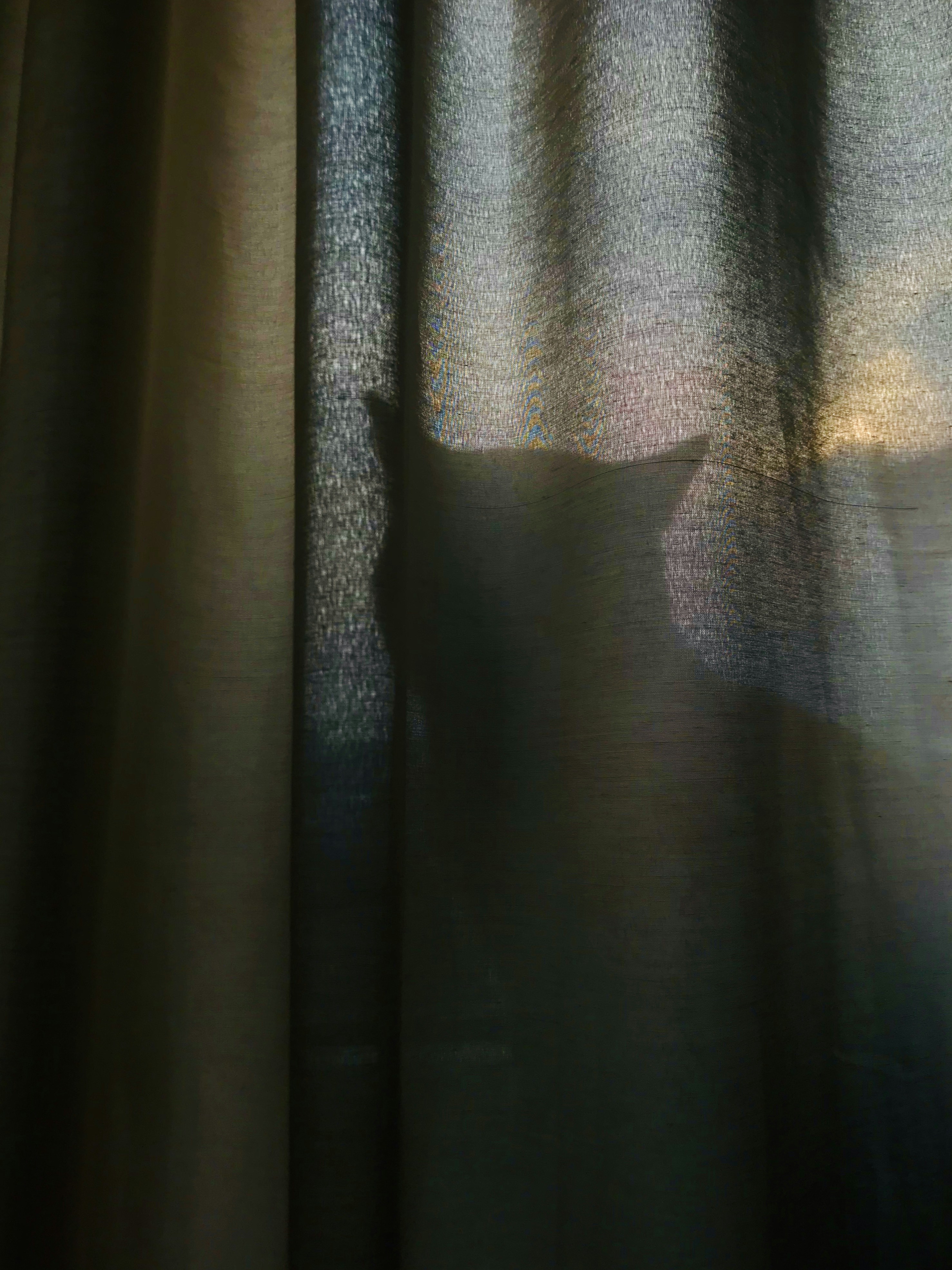 Shower Curtain Pictures | Download Free Images on Unsplash