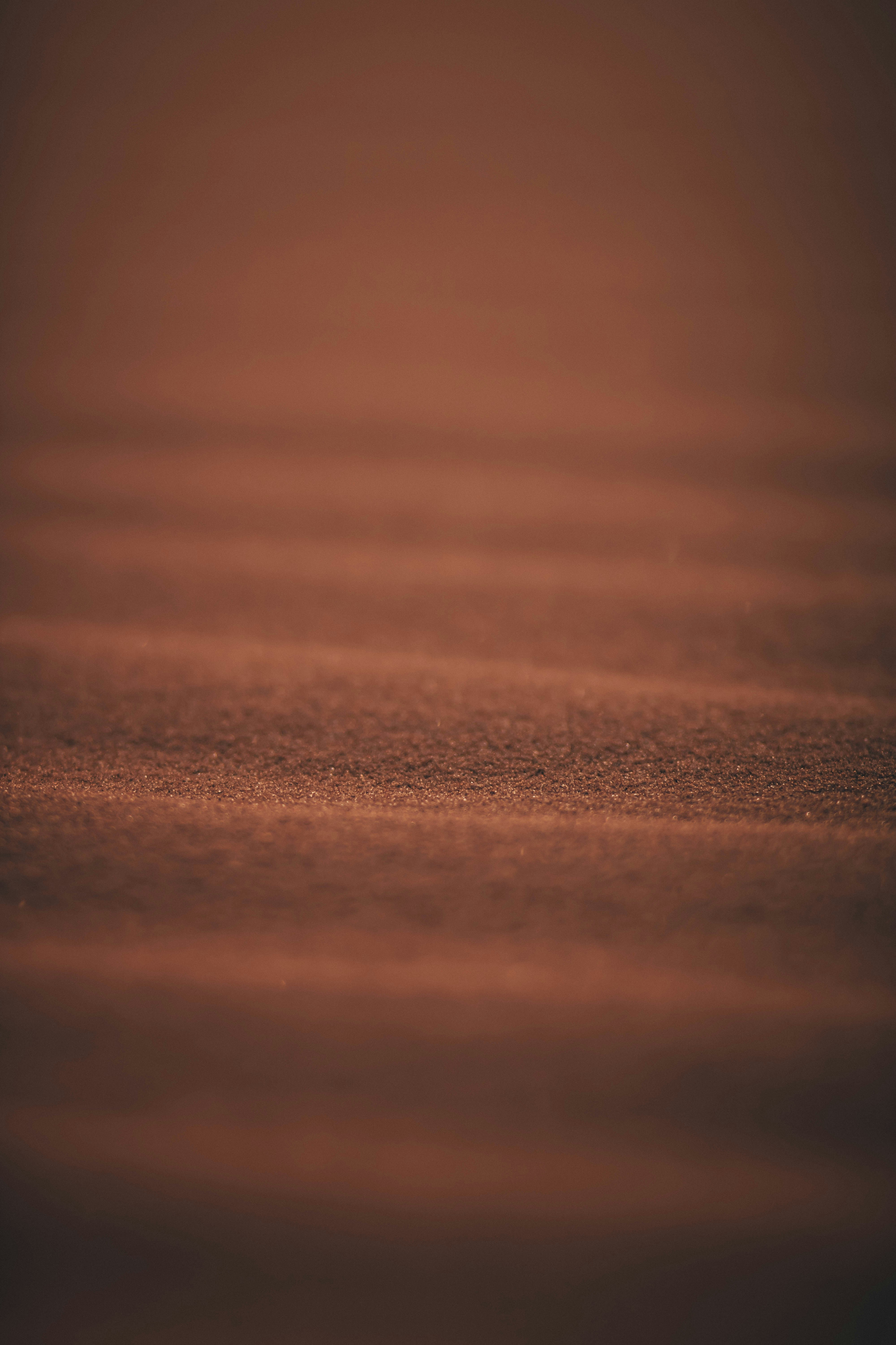 Photo by Patrik László on Unsplash