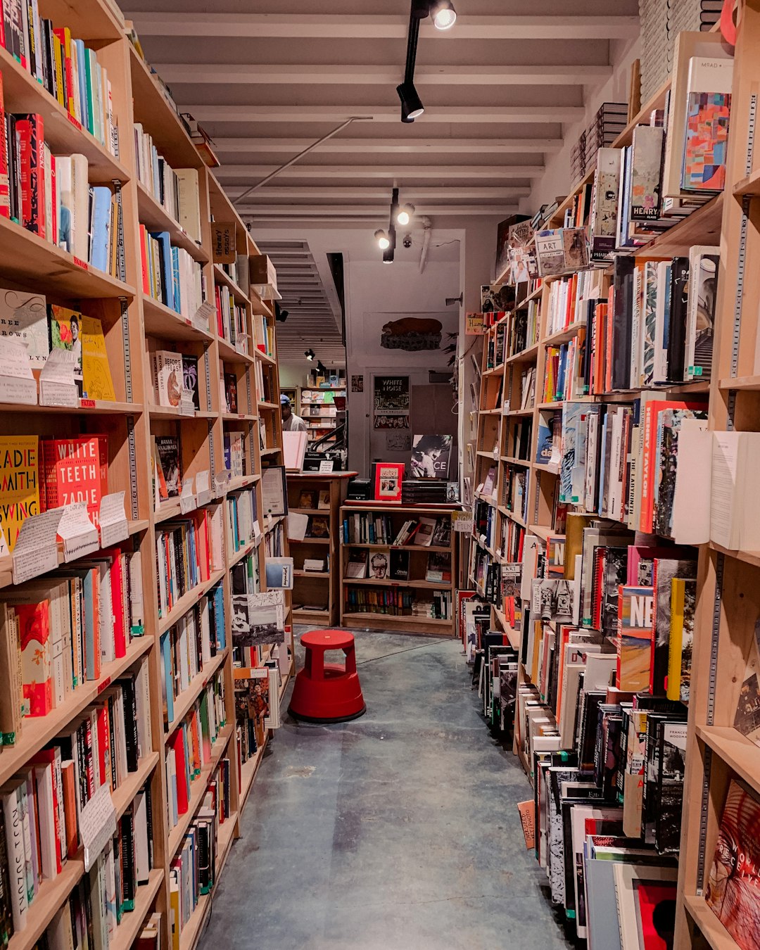 Free Shelf Image On Unsplash