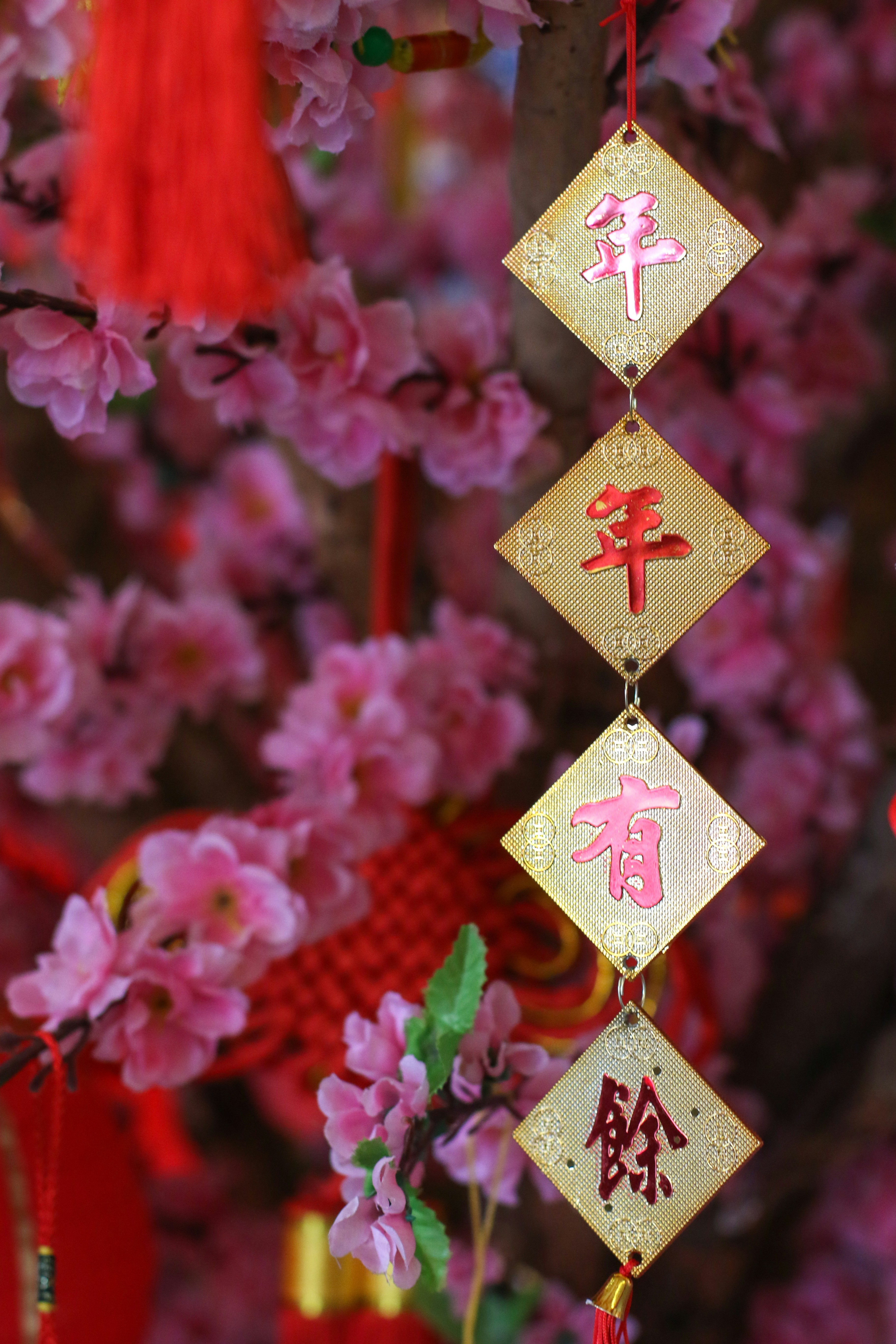 100+ Chinese New Year Pictures | Download Free Images on Unsplash