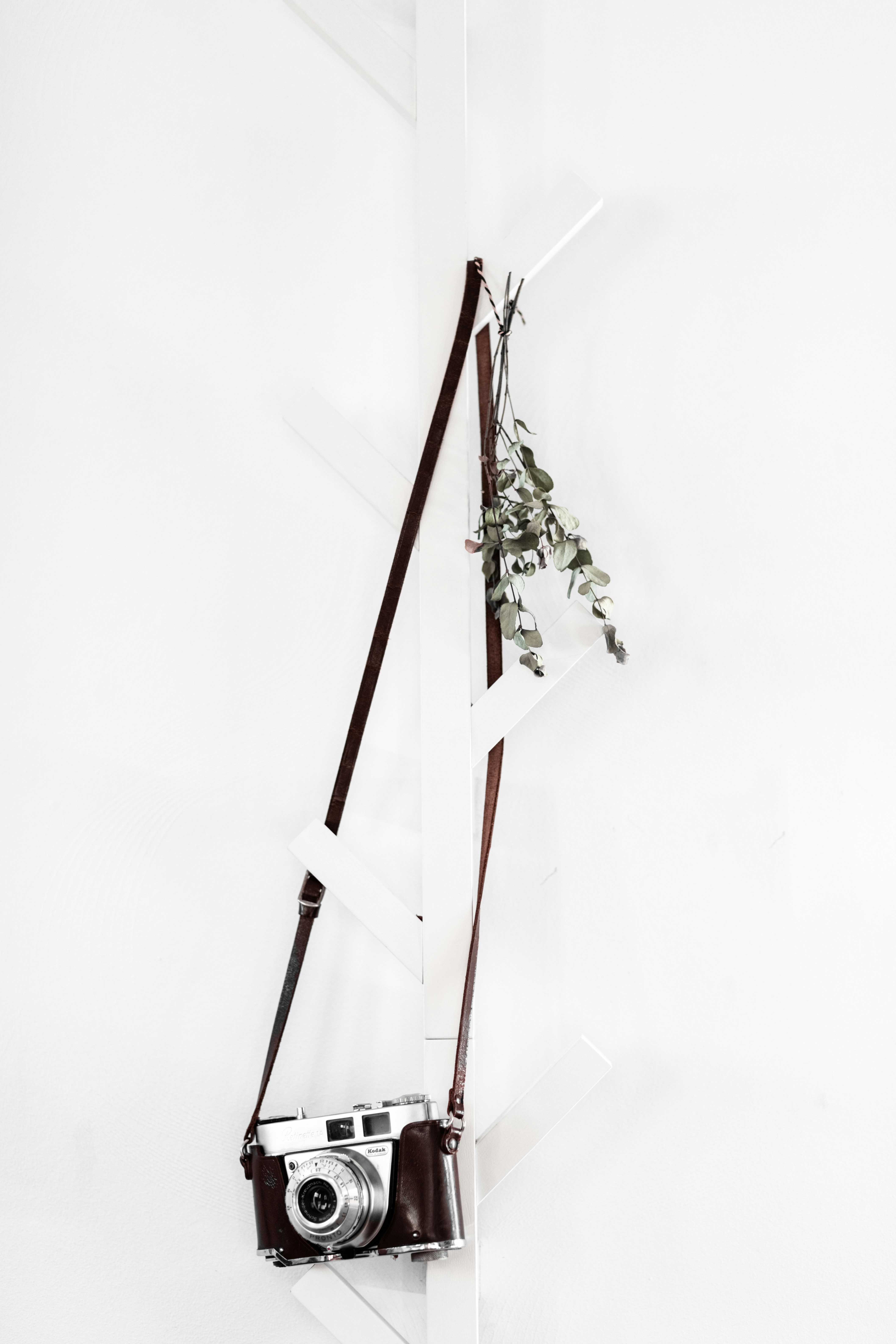 green plant on white wooden table photo – Free Flower Image on Unsplash