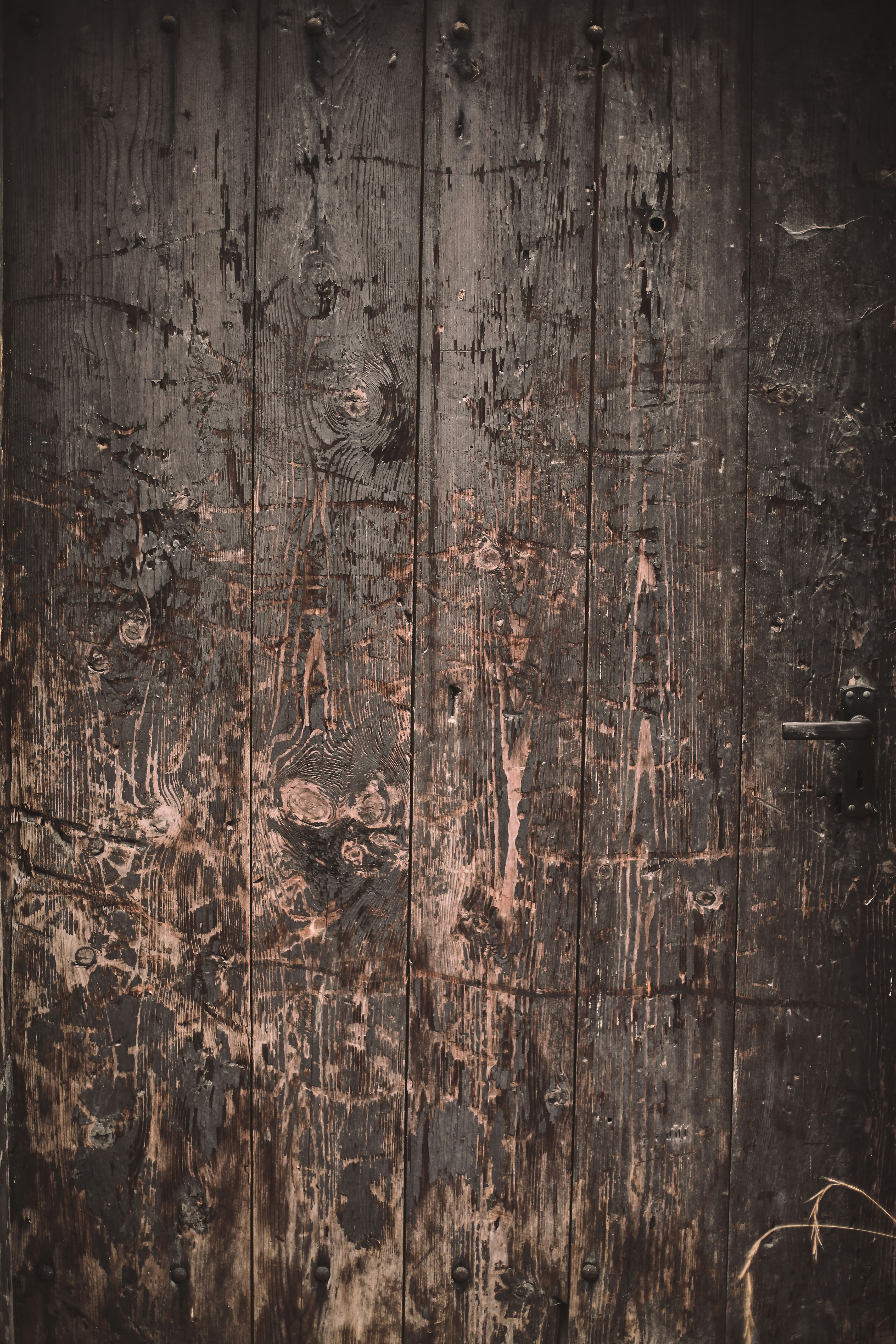 Texture Wood Pictures Download Free Images on Unsplash