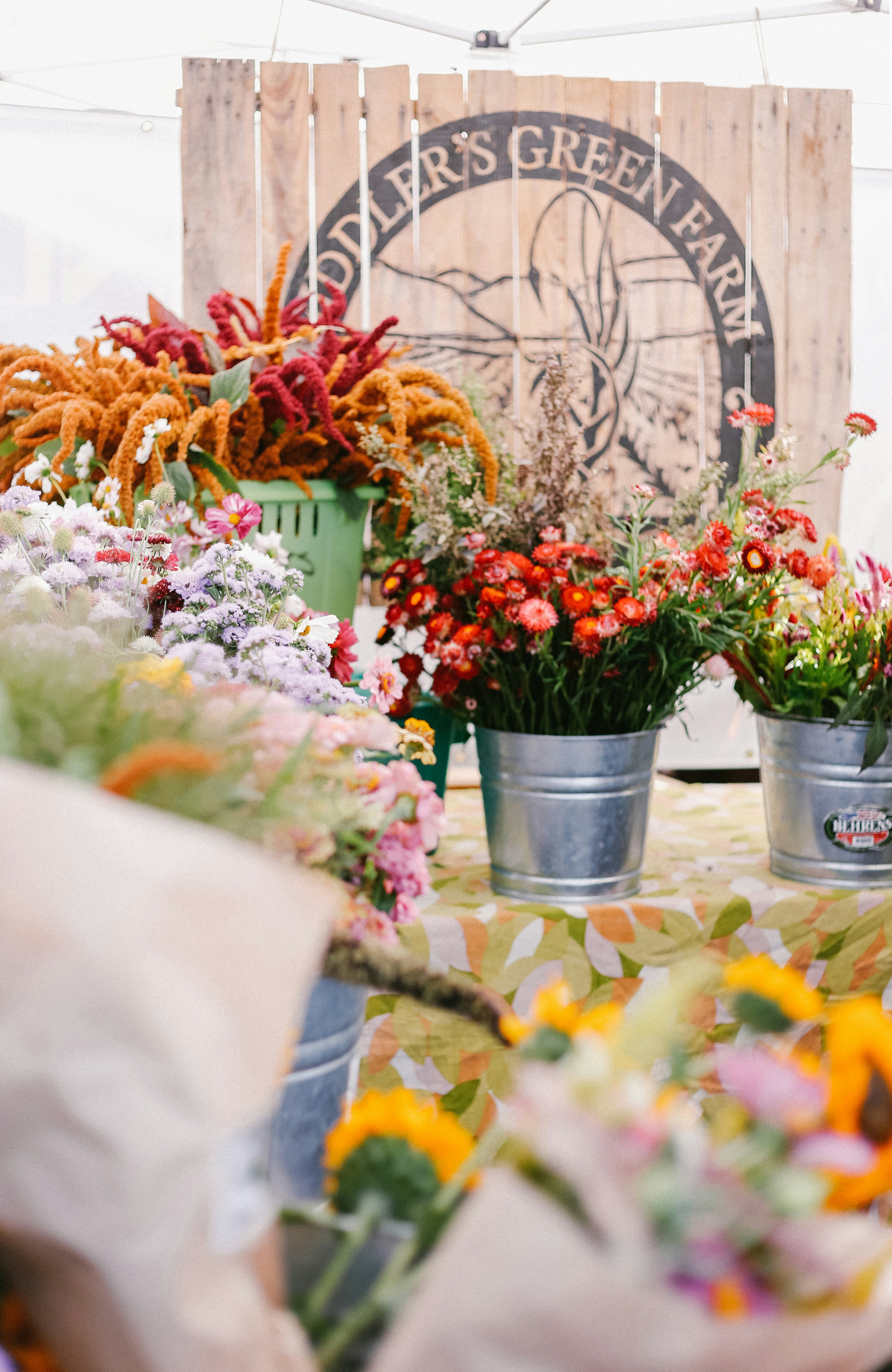 Flower Bucket Pictures | Download Free Images on Unsplash