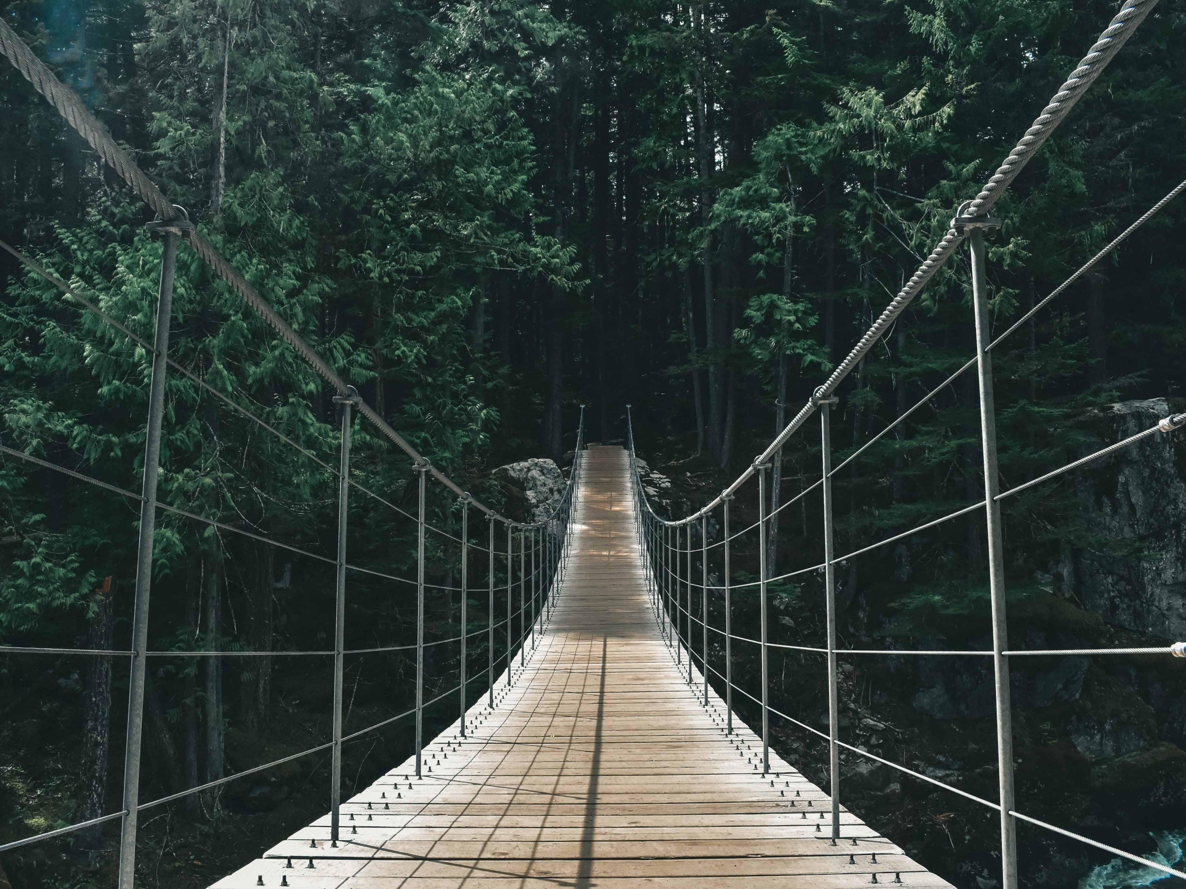 Hanging Bridge Pictures | Download Free Images on Unsplash