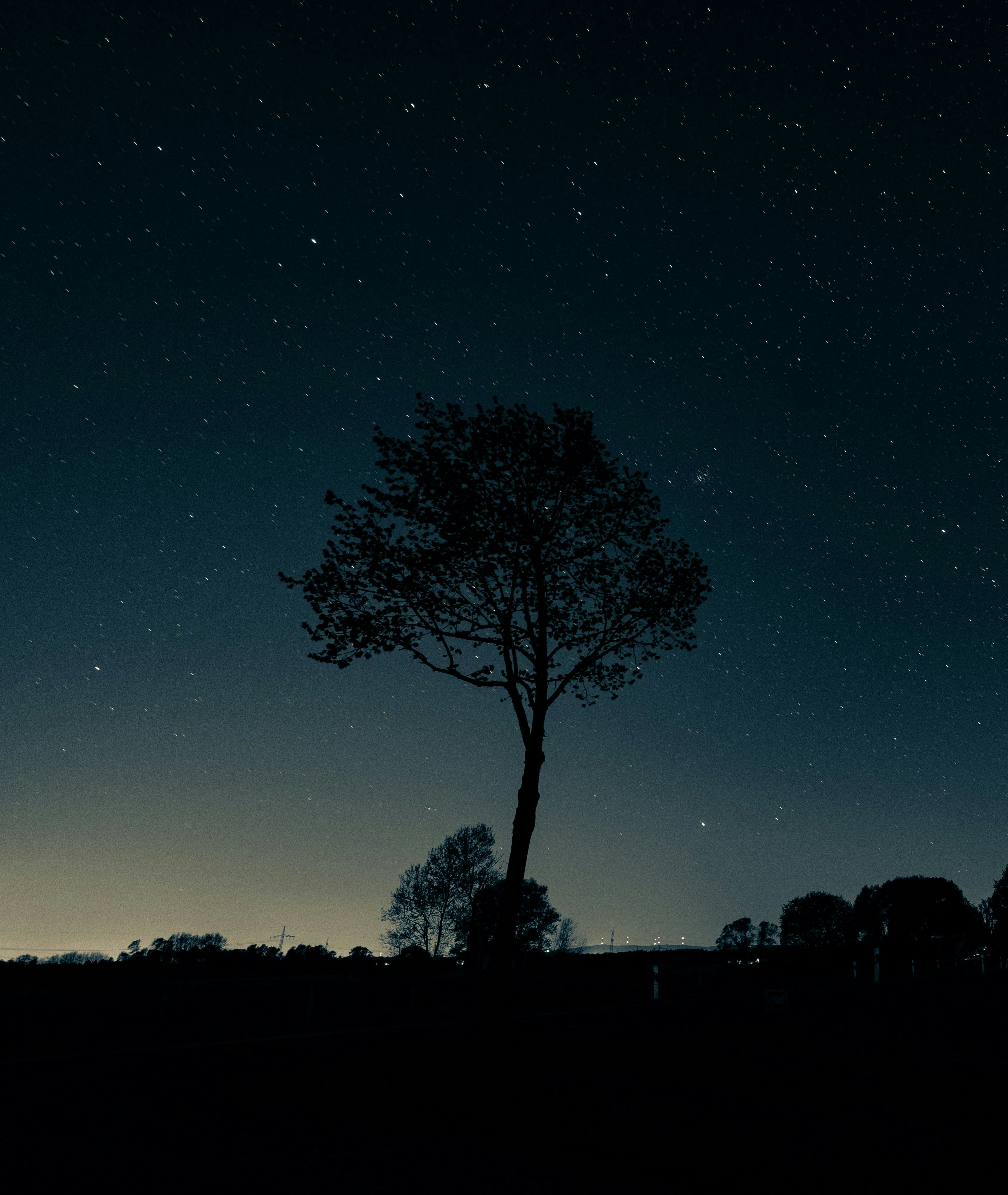 night moods