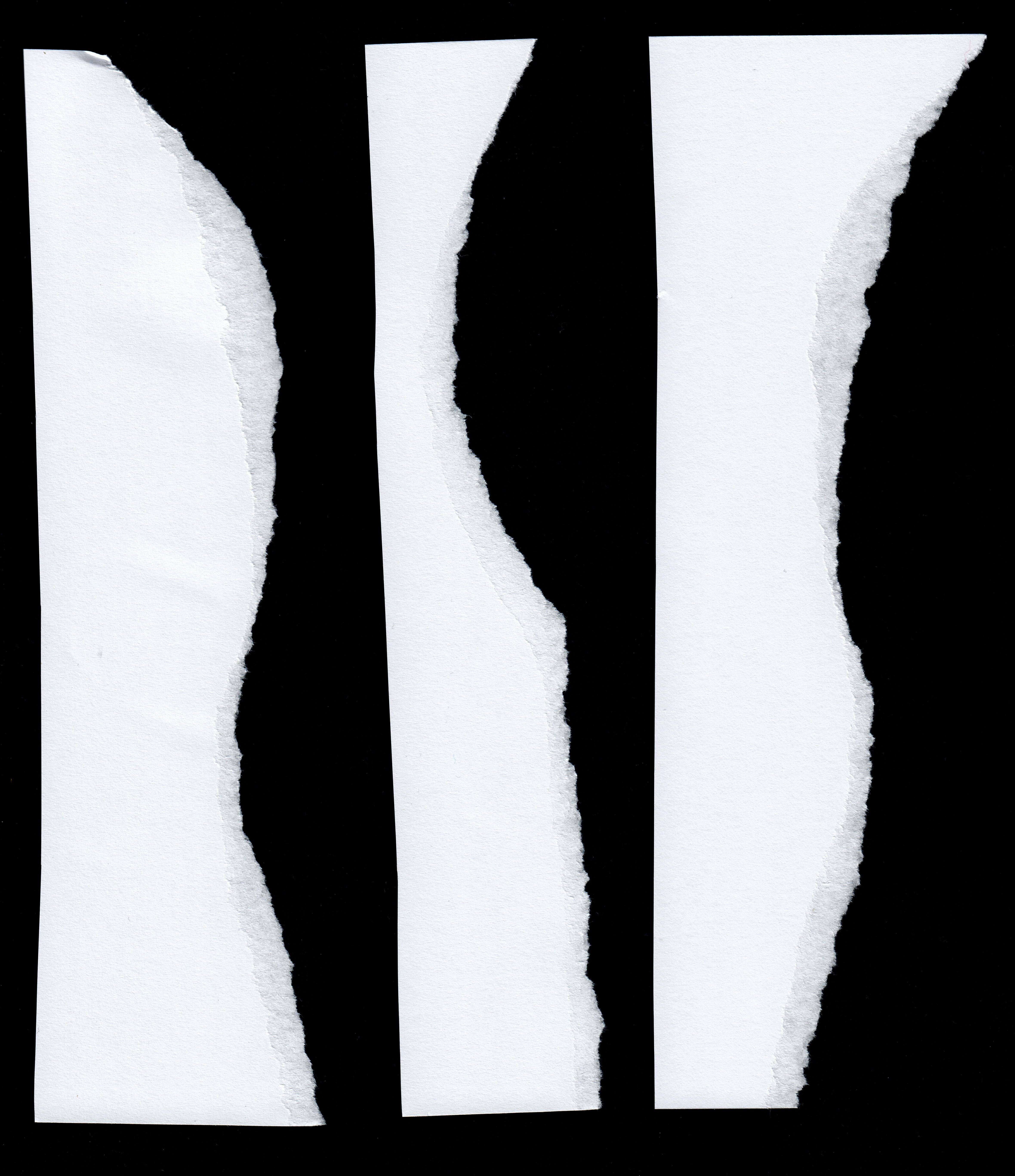 curving font on isplash