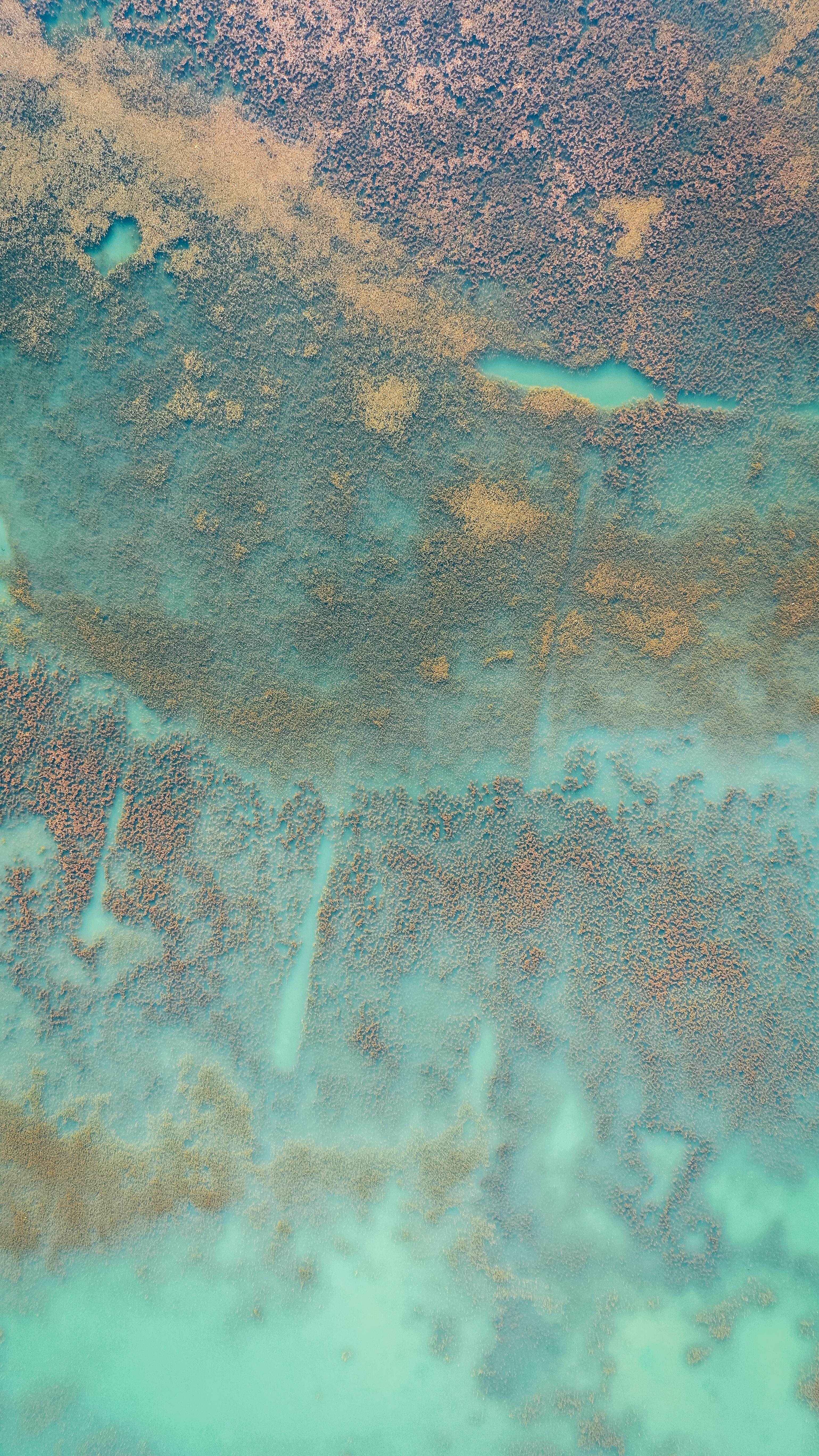 Wallpaper Iphone Pictures | Download Free Images on Unsplash