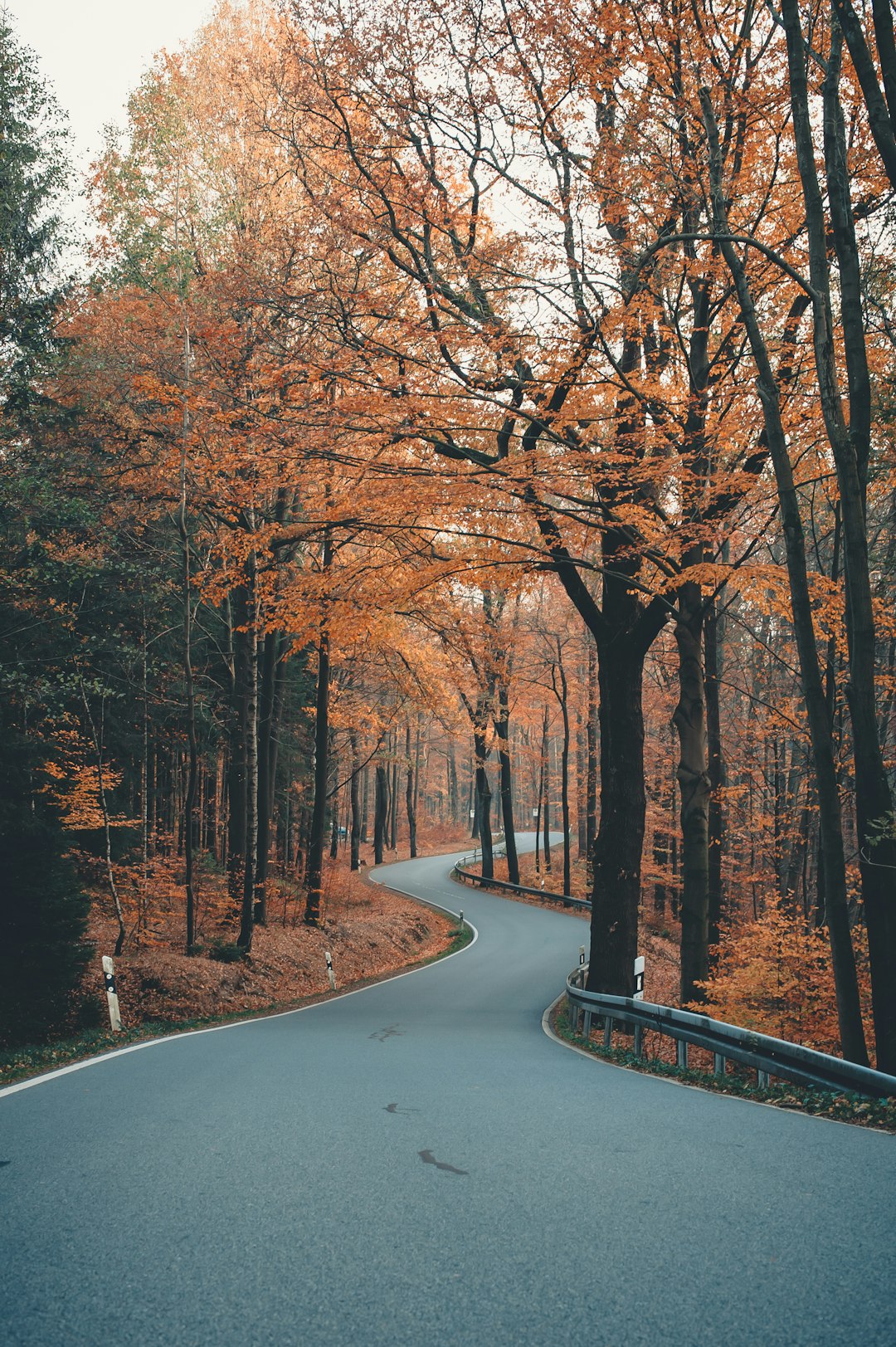 Autumn Scenery Pictures | Download Free Images on Unsplash