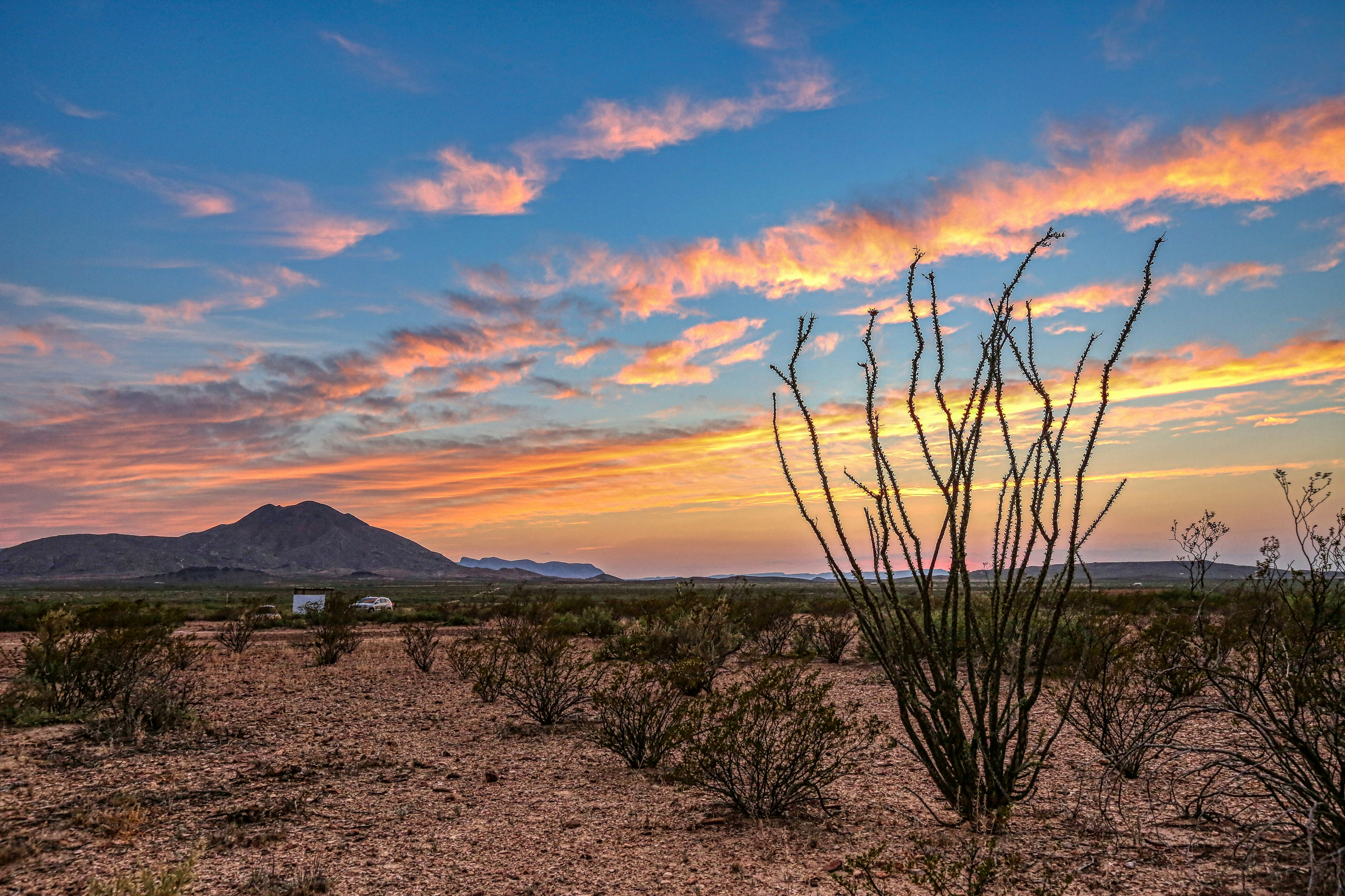 Texas Landscape Pictures  Download Free Images on Unsplash