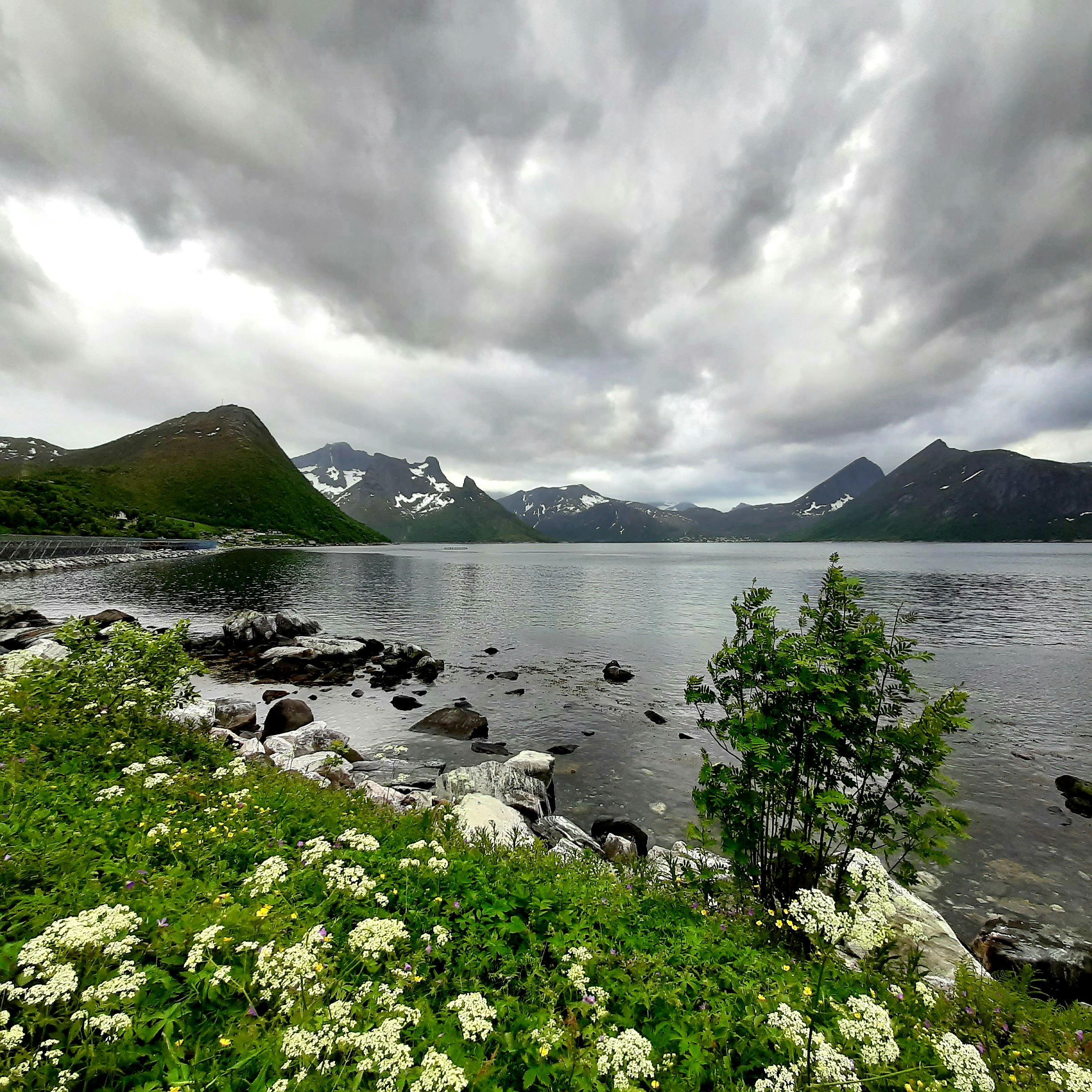 landscape pictures