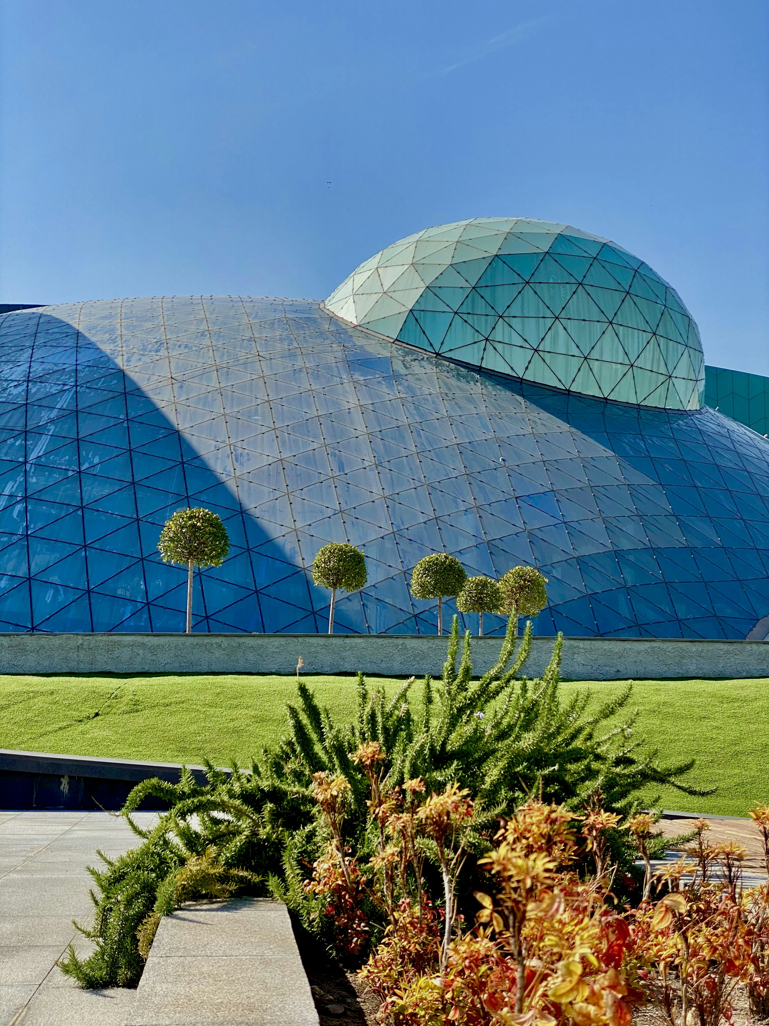 Pimple Pictures Download Free Images on Unsplash