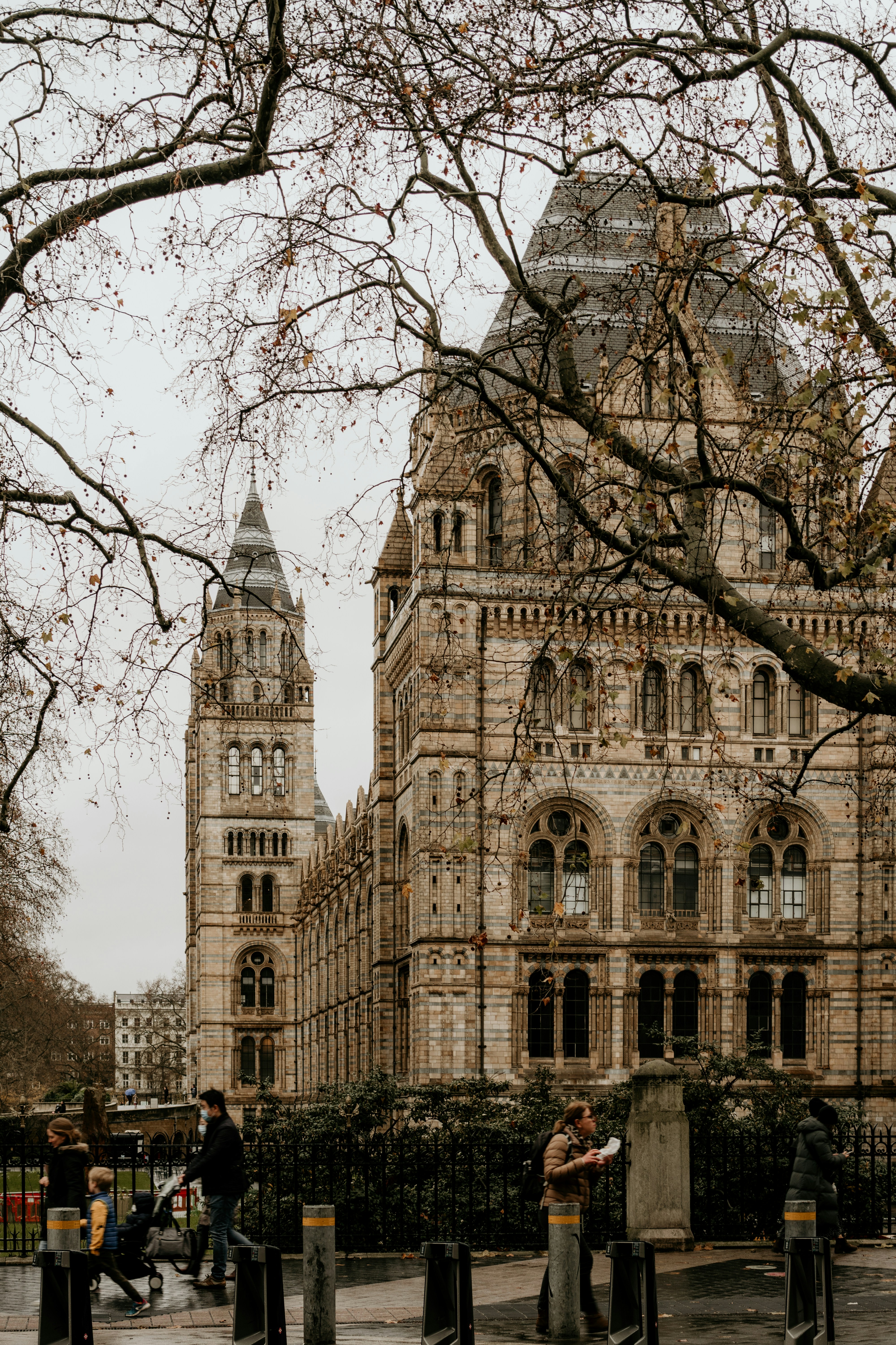 dark academia 33 best free academium, dark, grey and book photos on