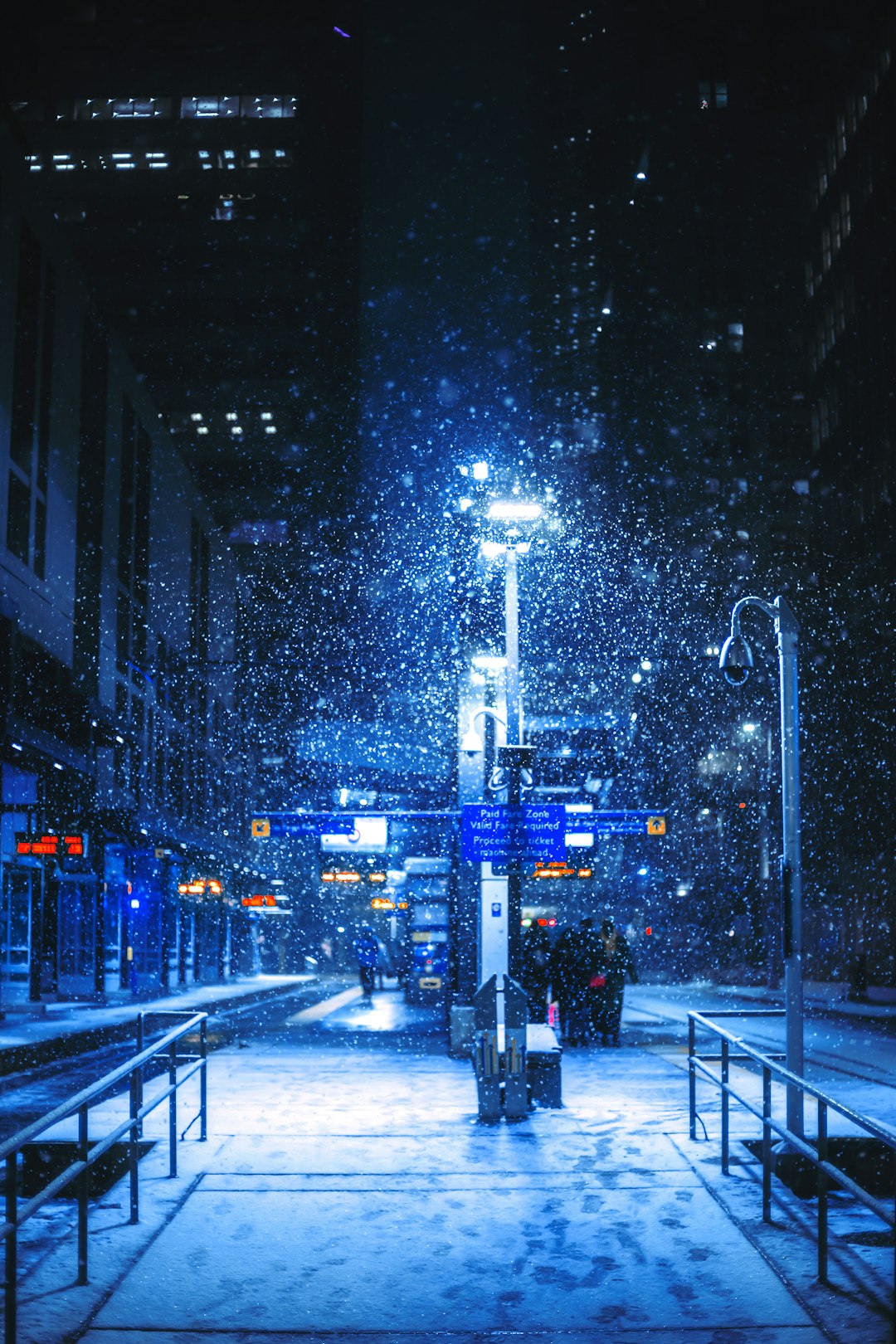 Snow City Pictures | Download Free Images on Unsplash
