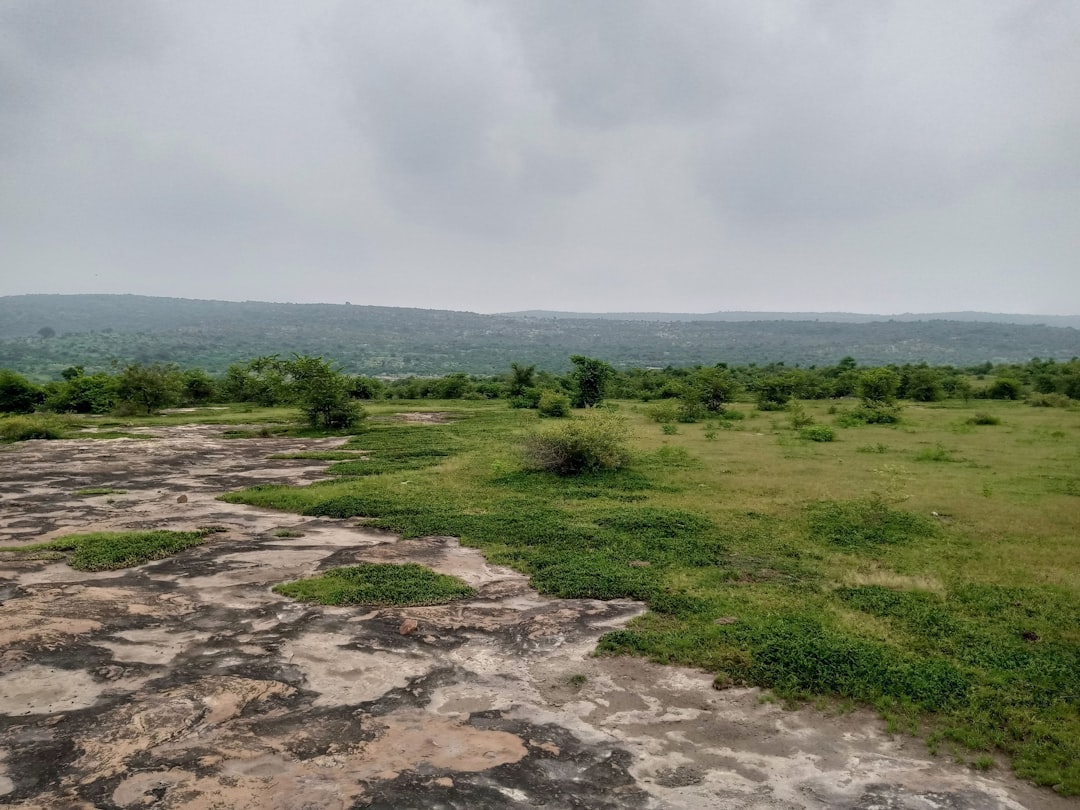 Green Ground Pictures Download Free Images on Unsplash Green Ground Pictures Download Free Images on Unsplash