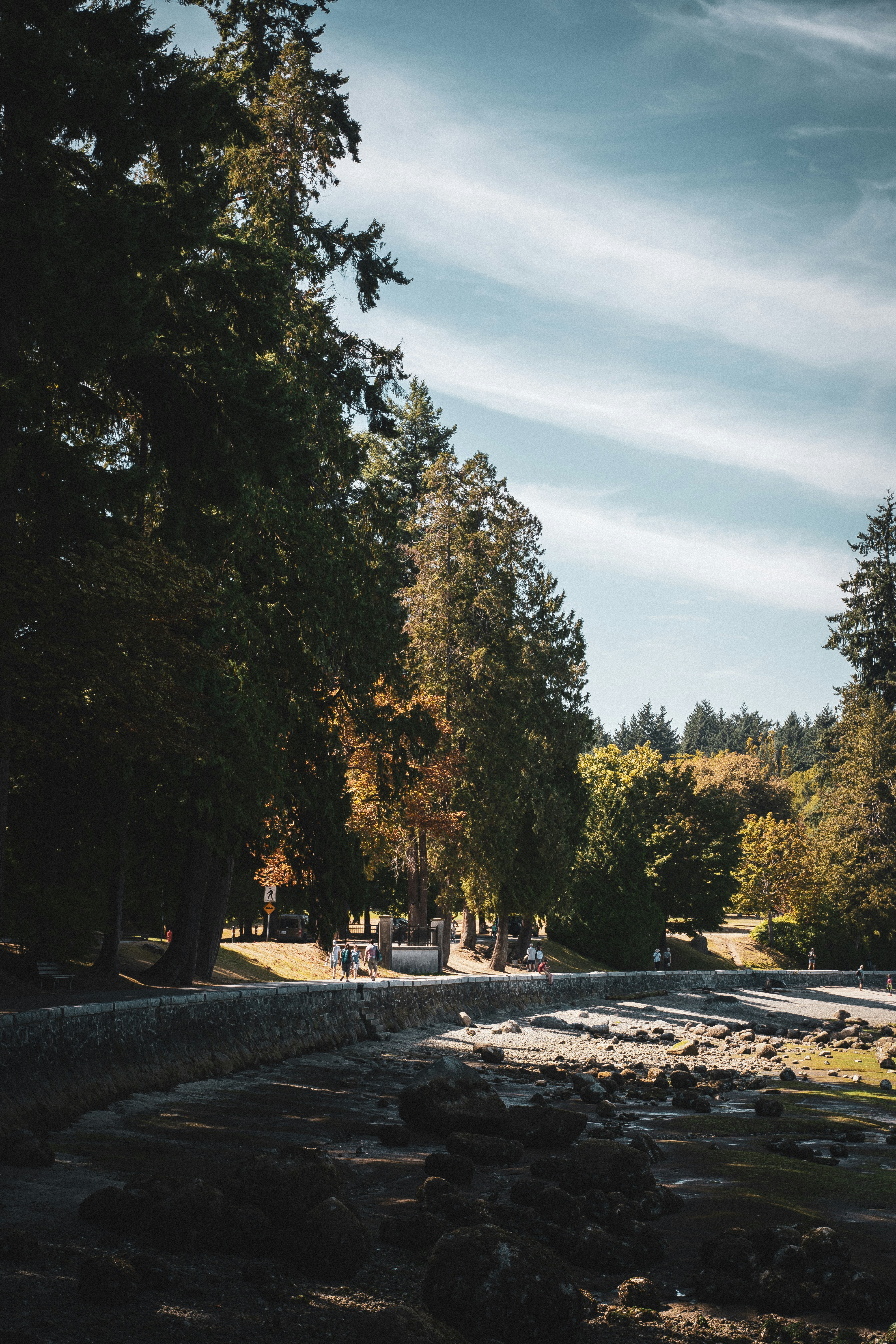 Stanley Park Vancouver Pictures | Download Free Images on Unsplash
