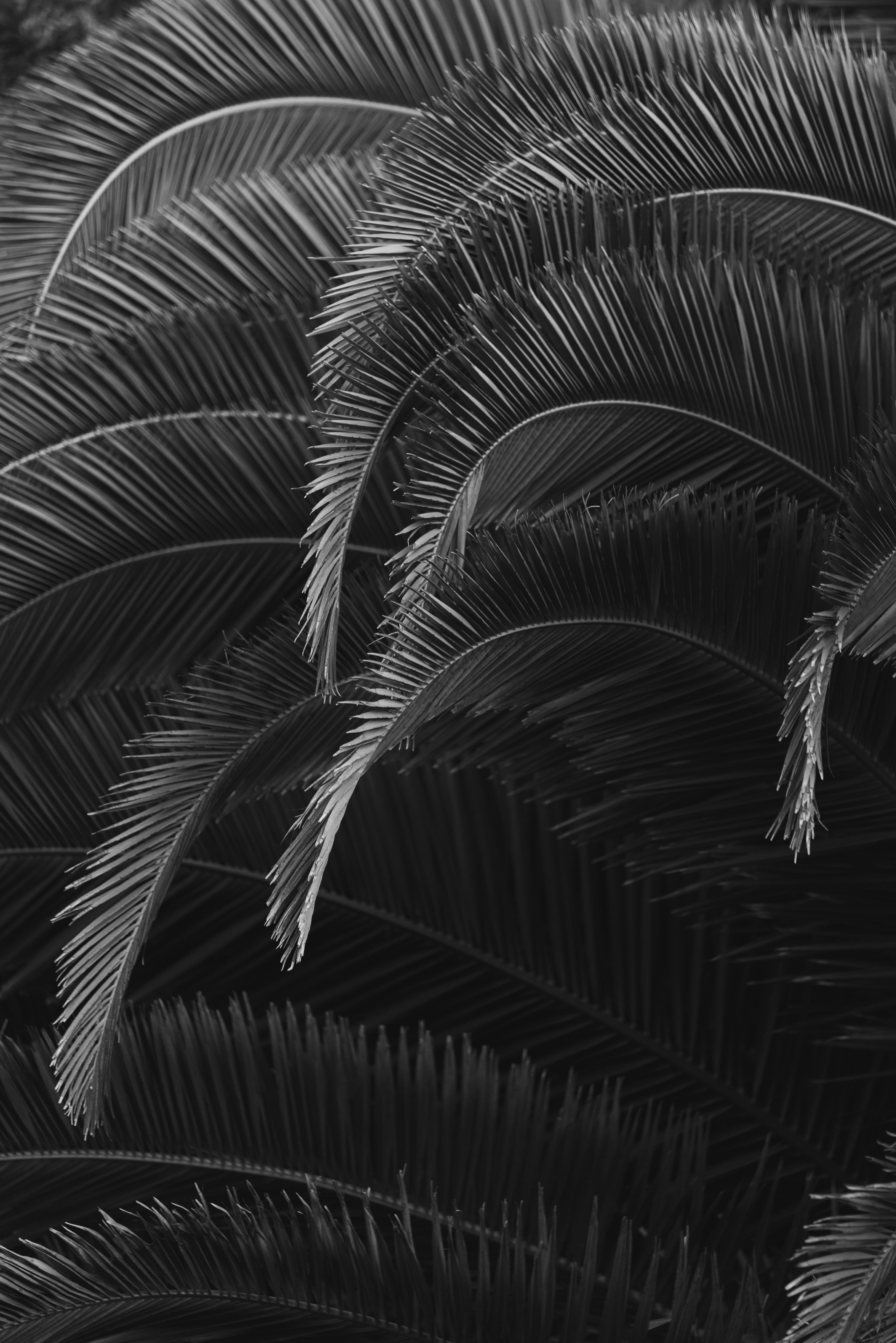 Jeremy Unsplash Photo Community